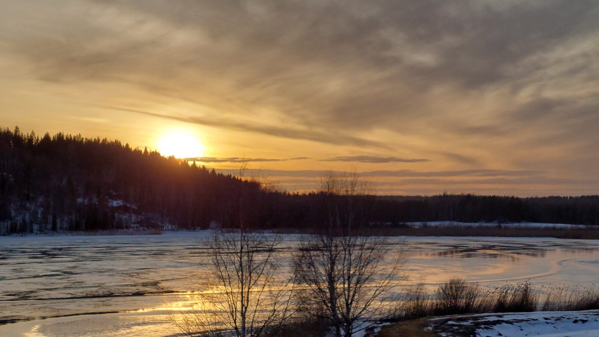 Valokuvaaja: Tarja Naukkarinen