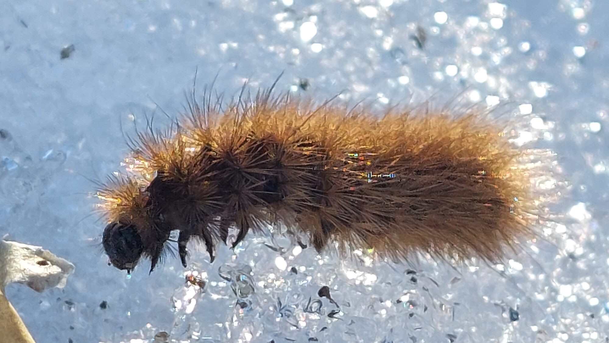 Valokuvaaja: Tarja Naukkarinen Valokuvaaja: Tarja Naukkarinen