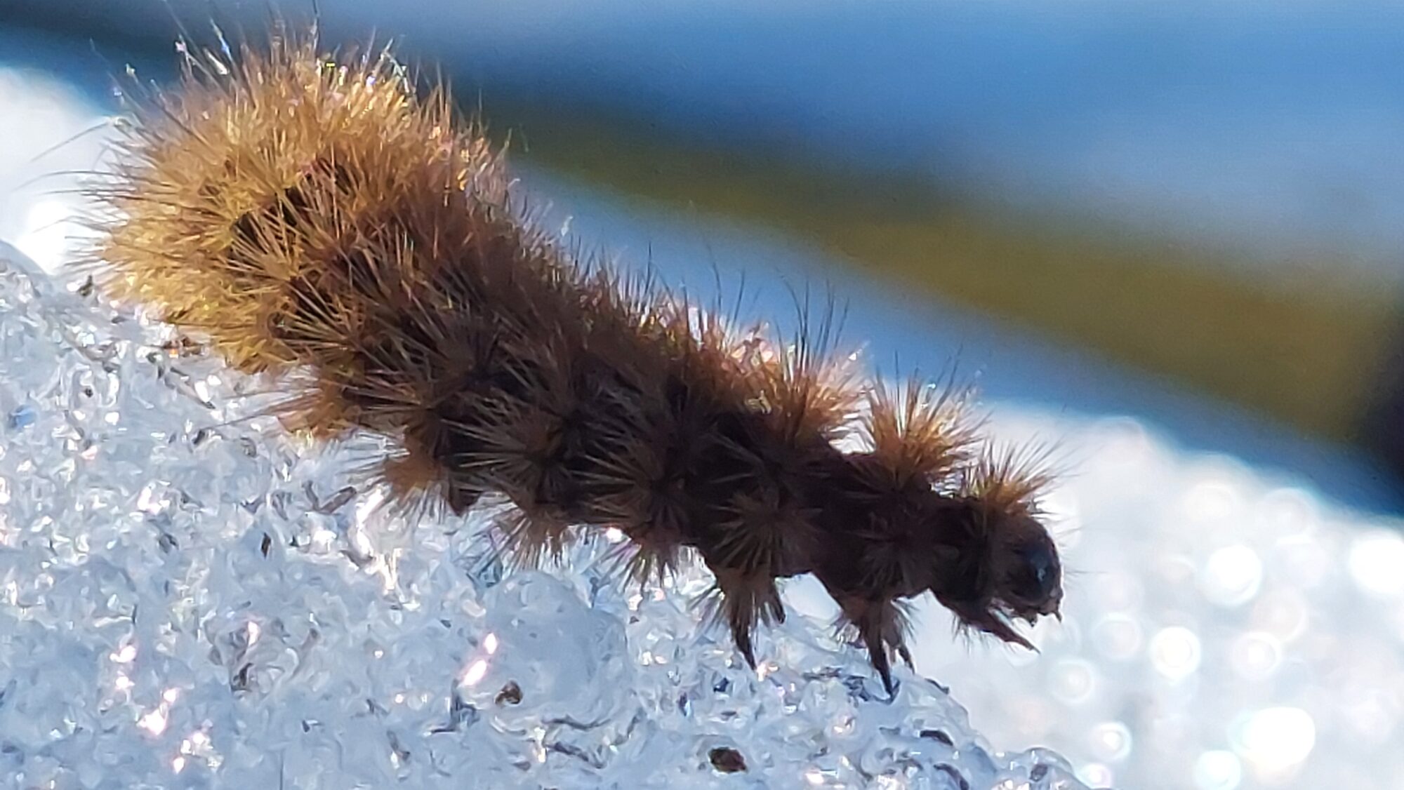 Valokuvaaja: Tarja Naukkarinen