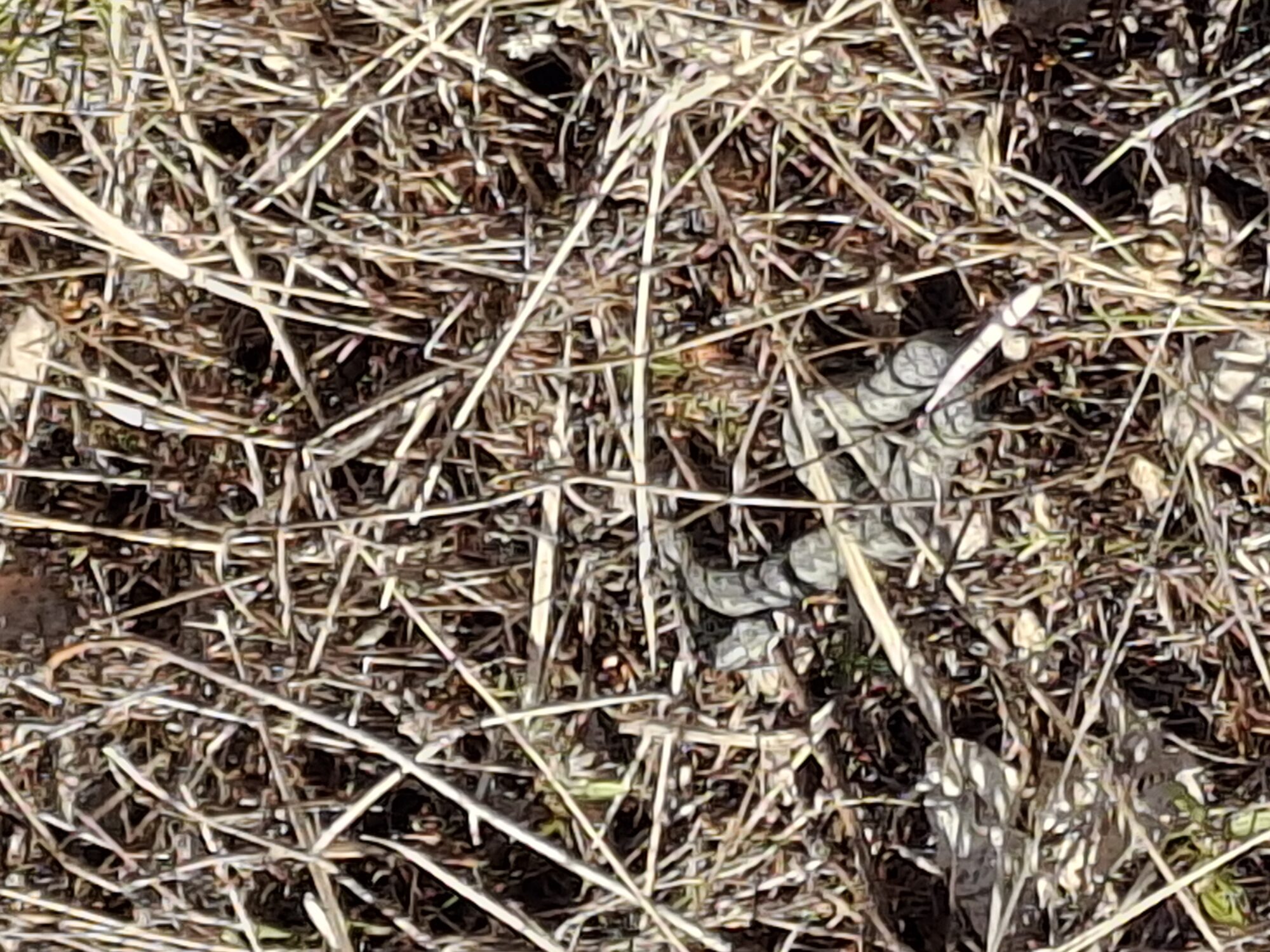 Valokuvaaja: Satu Suuntala