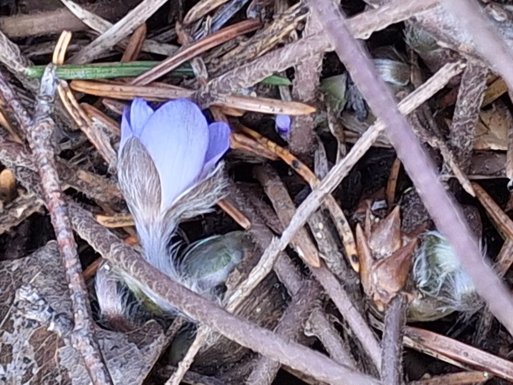 Valokuvaaja: Satu Suuntala Valokuvaaja: Satu Suuntala