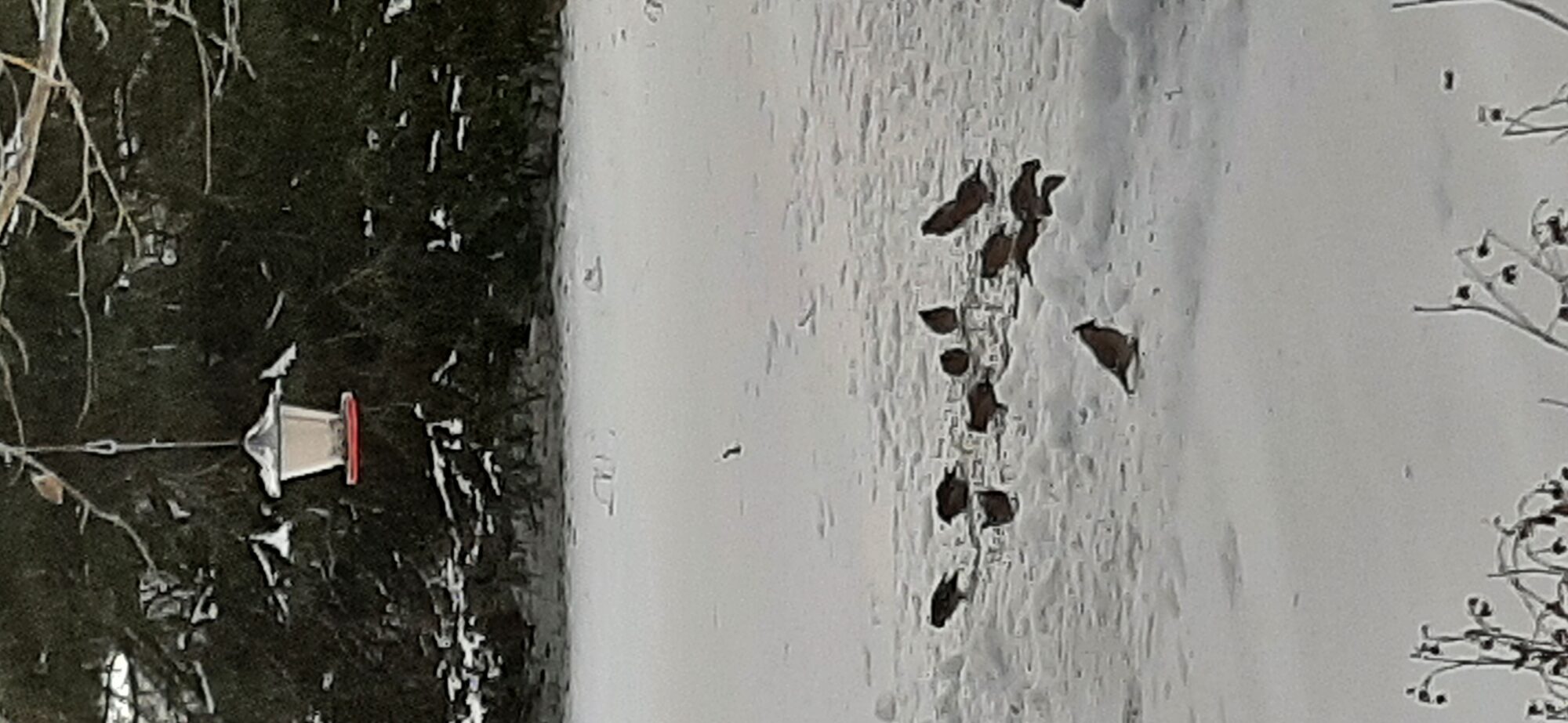 Valokuvaaja: Tuula Kalliokoski Valokuvaaja: Tuula Kalliokoski