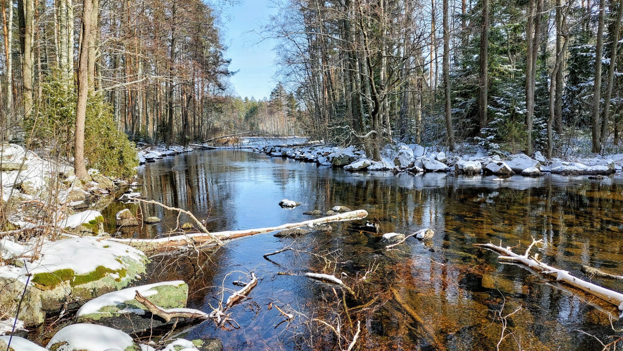 Valokuvaaja: Tarja Naukkarinen Valokuvaaja: Tarja Naukkarinen