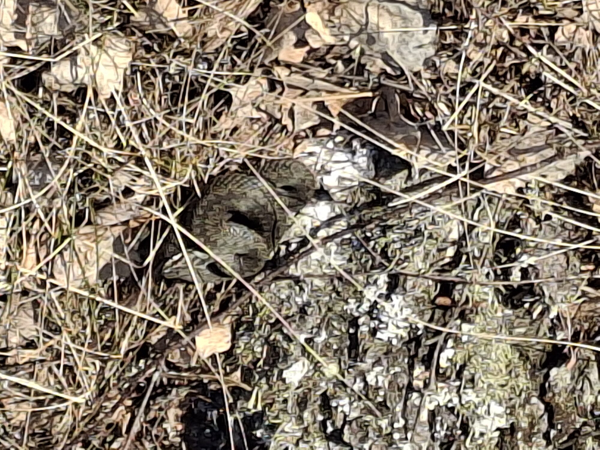 Valokuvaaja: Satu Suuntala Valokuvaaja: Satu Suuntala