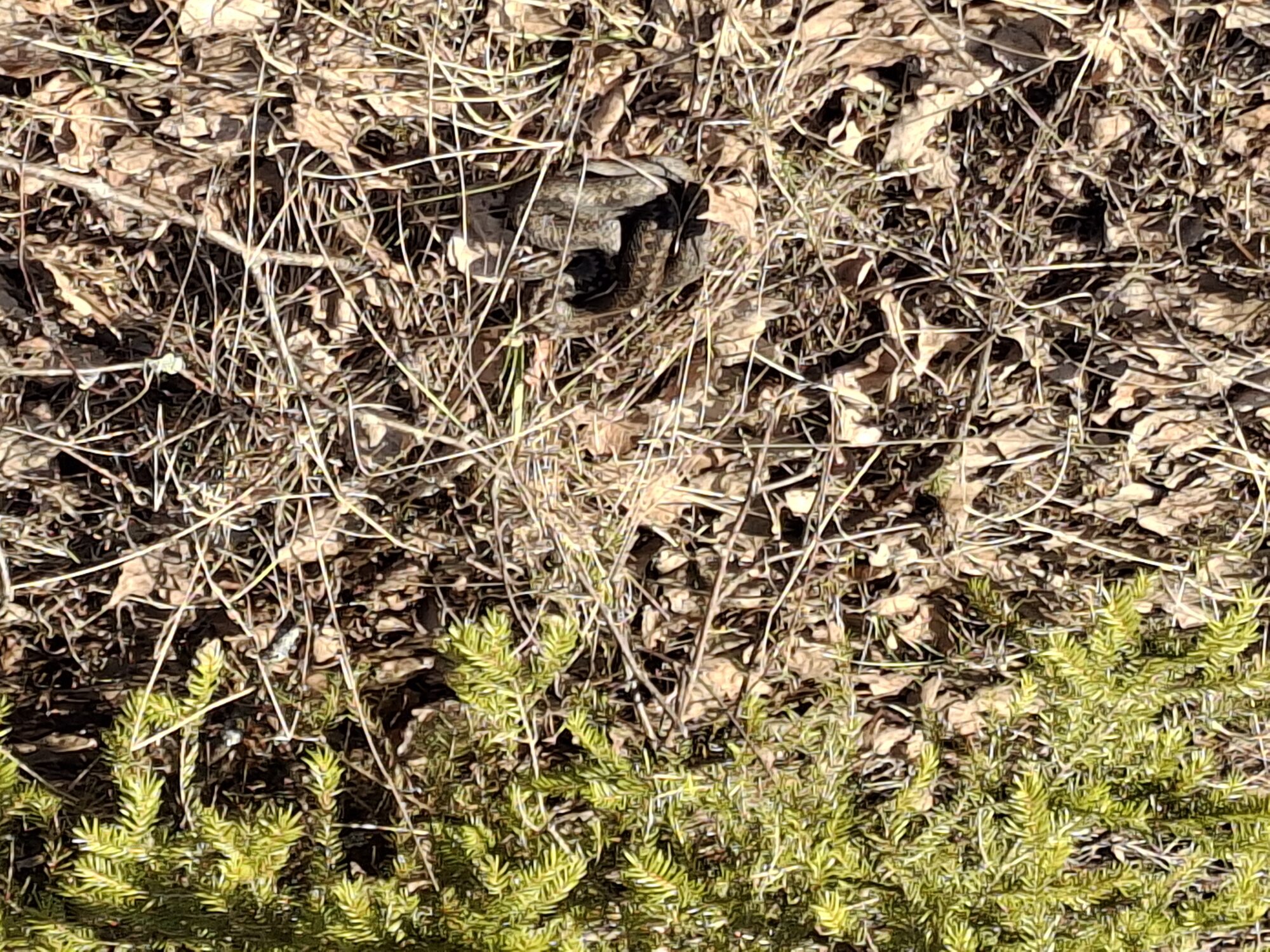 Valokuvaaja: Satu Suuntala Valokuvaaja: Satu Suuntala