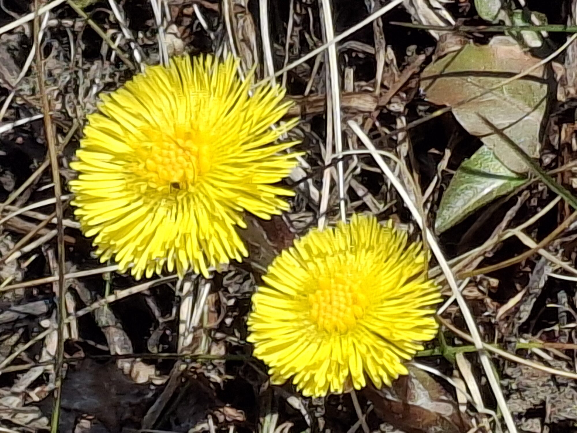 Valokuvaaja: Satu Suuntala Valokuvaaja: Satu Suuntala