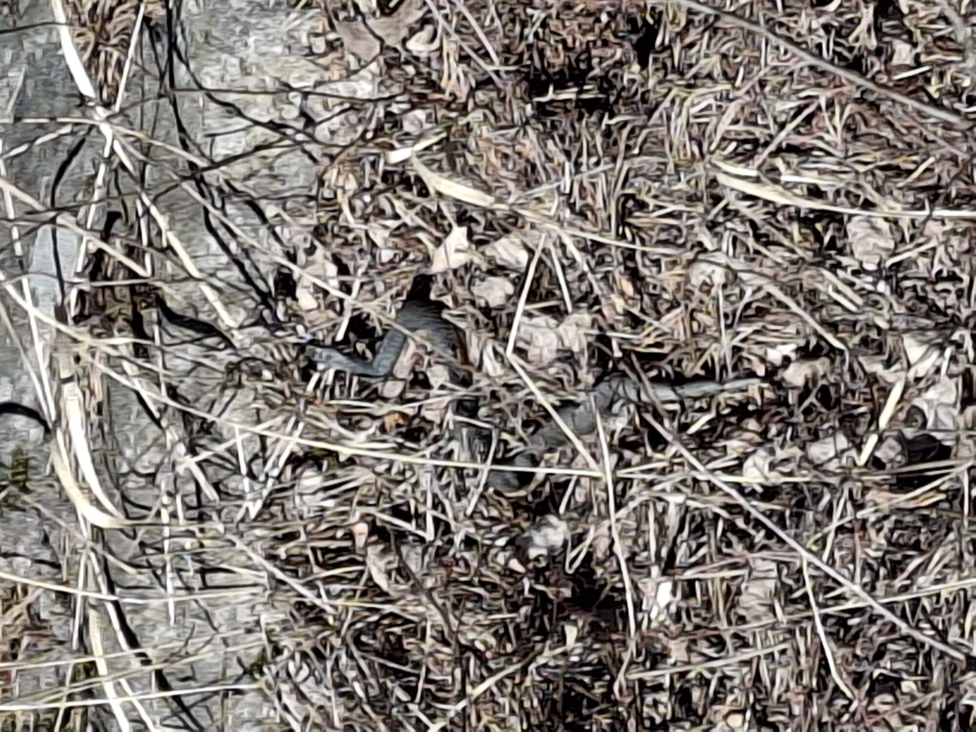 Valokuvaaja: Satu Suuntala Valokuvaaja: Satu Suuntala