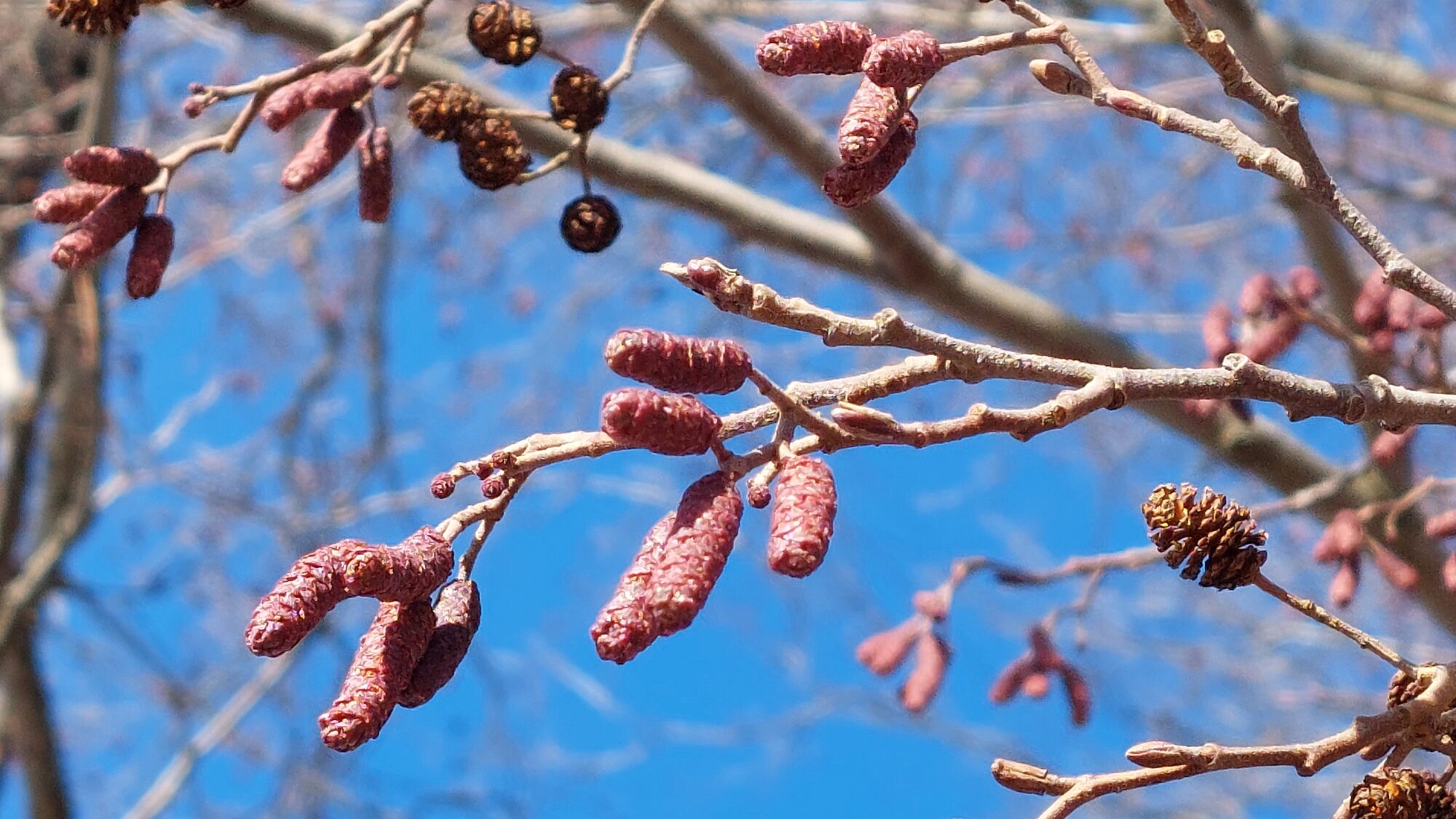 Valokuvaaja: Tarja Naukkarinen Valokuvaaja: Tarja Naukkarinen