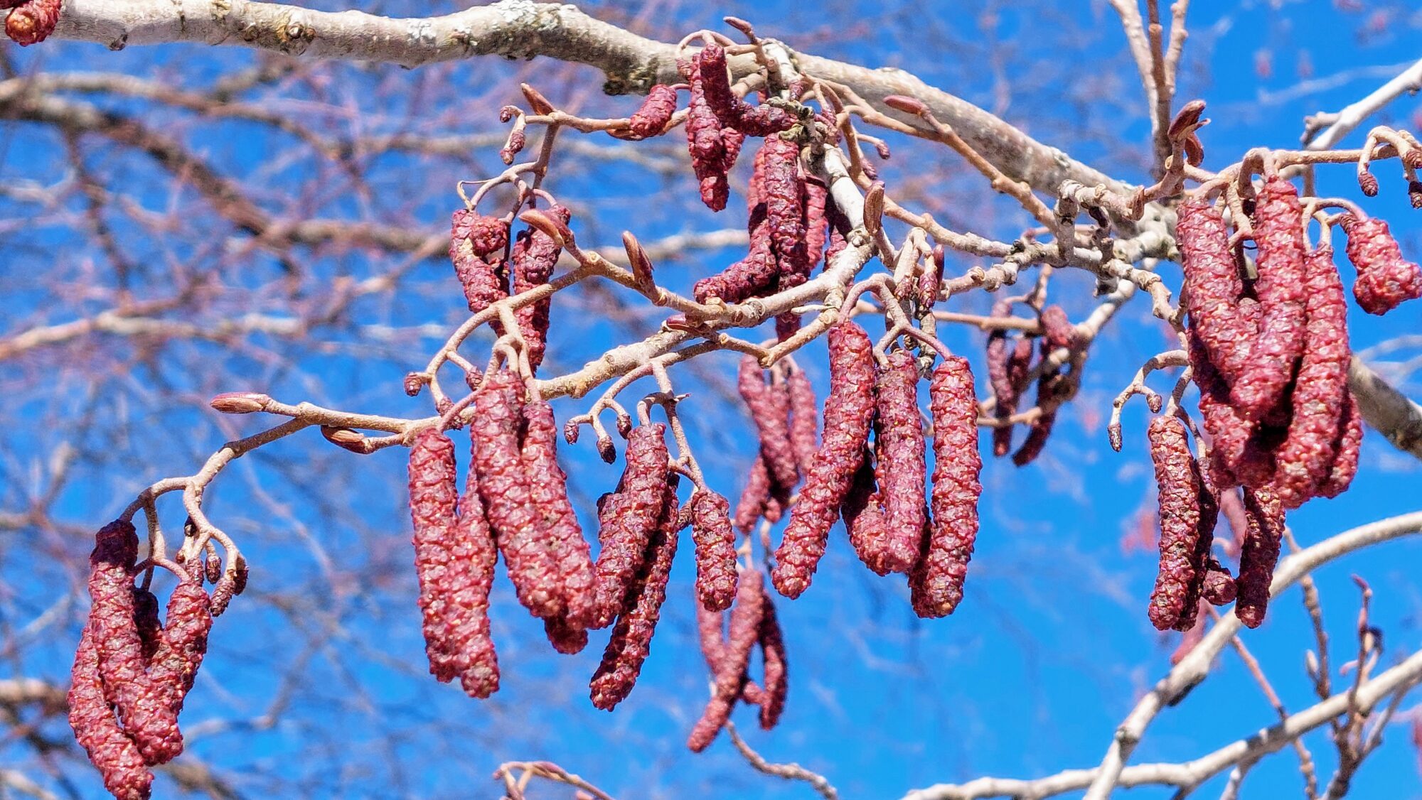 Valokuvaaja: Tarja Naukkarinen