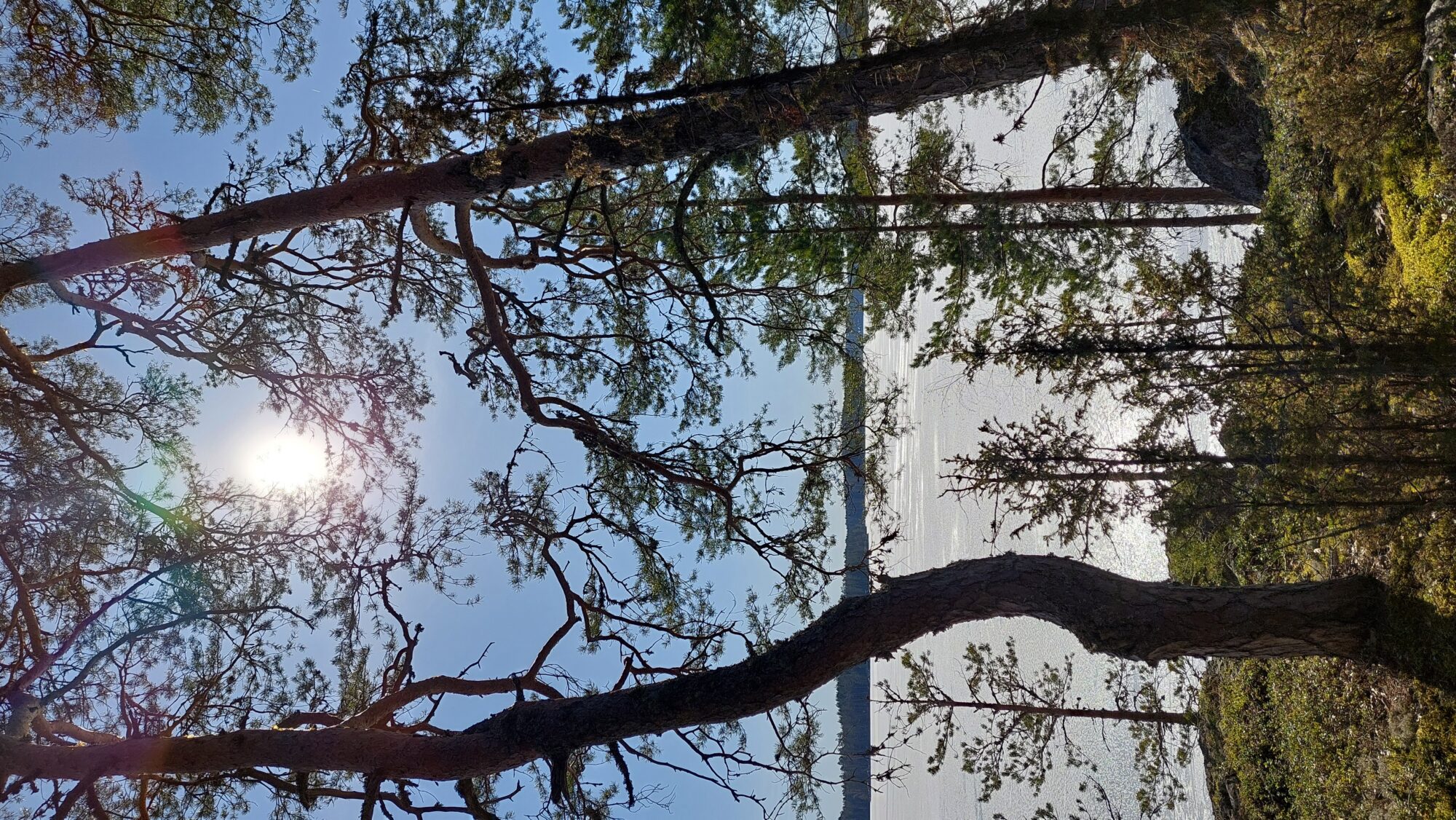 Valokuvaaja: Tarja Naukkarinen Valokuvaaja: Tarja Naukkarinen