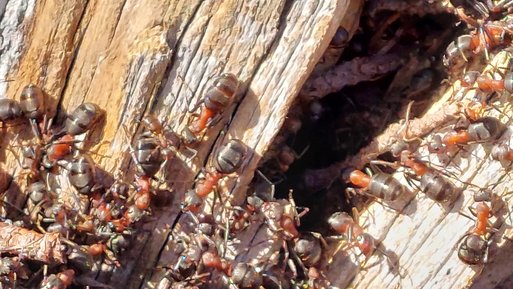 Valokuvaaja: Tarja Naukkarinen Valokuvaaja: Tarja Naukkarinen