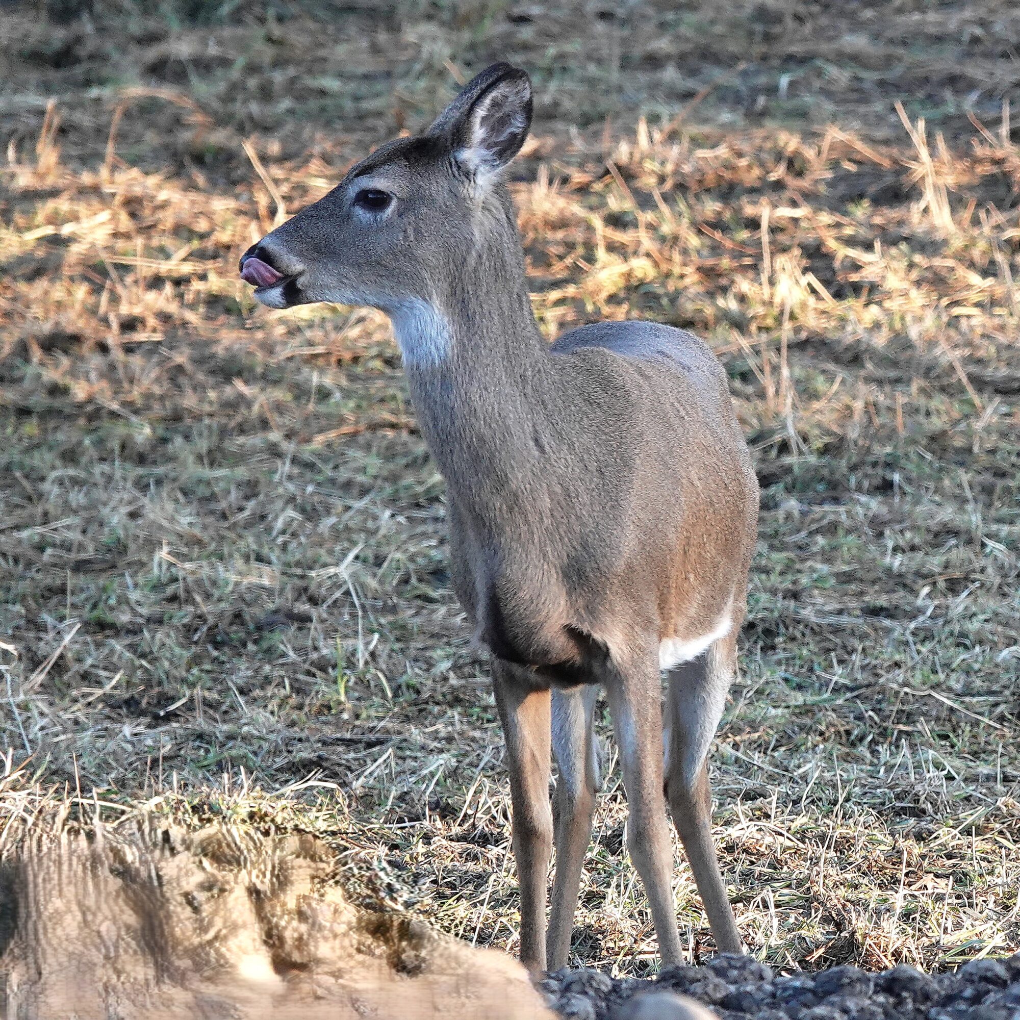 Valokuvaaja: Raija oksanen