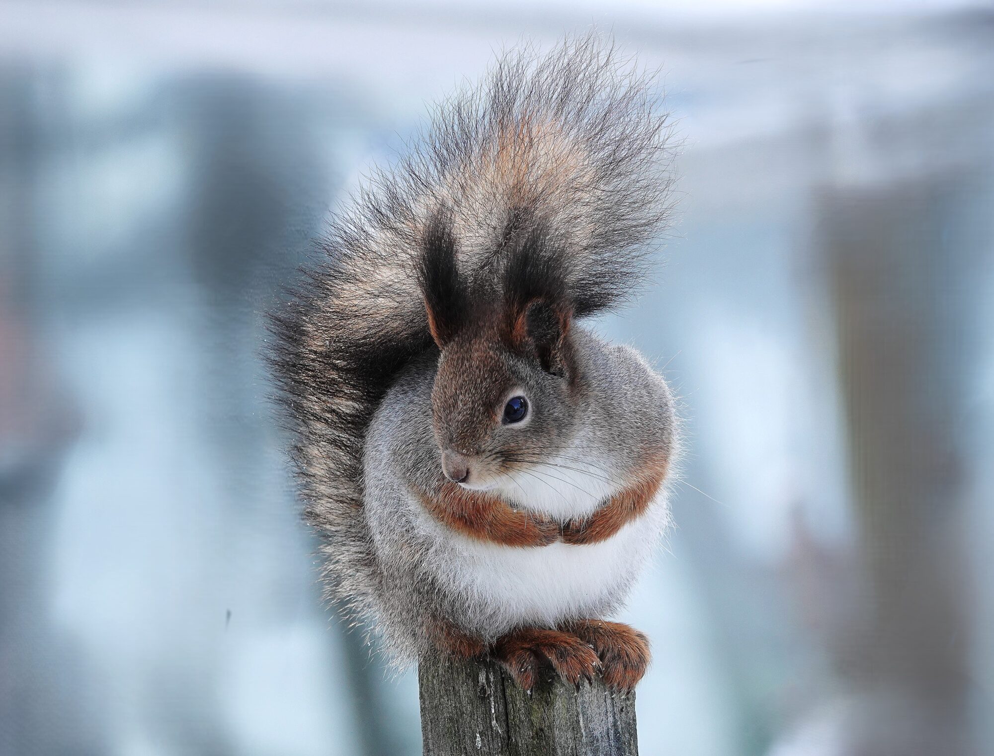 Valokuvaaja: Raija Oksanen Valokuvaaja: Raija Oksanen