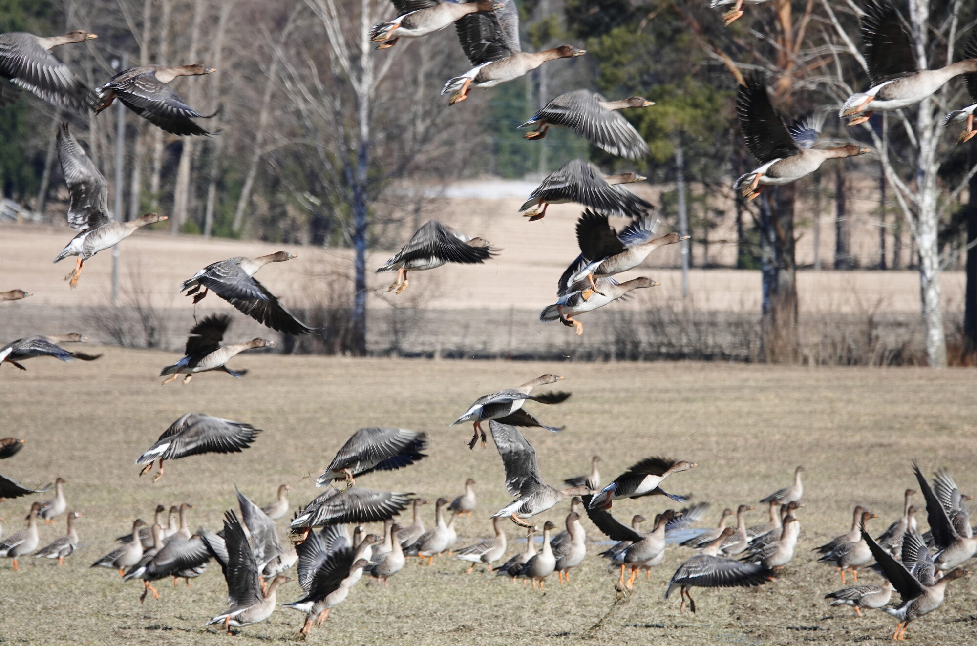 Valokuvaaja: Raija Oksanen Valokuvaaja: Raija Oksanen