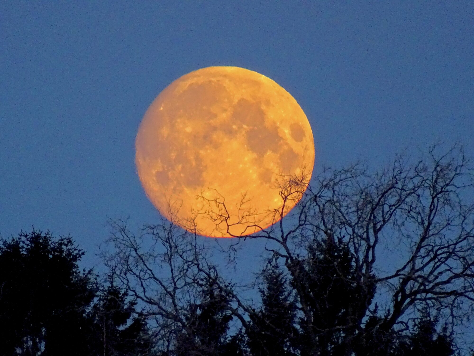 Valokuvaaja: Juhani Peltonen Valokuvaaja: Juhani Peltonen