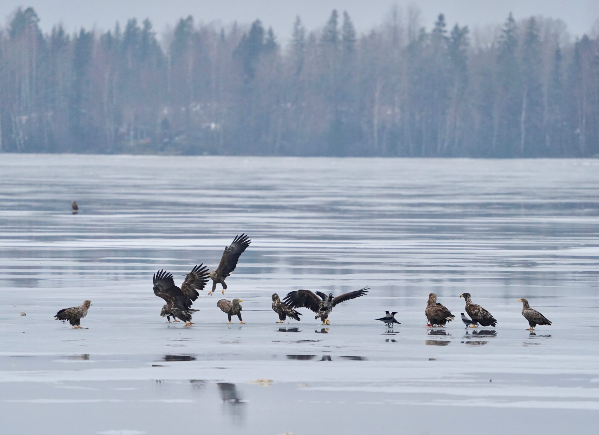 Valokuvaaja: Markku Ranta-Eilola