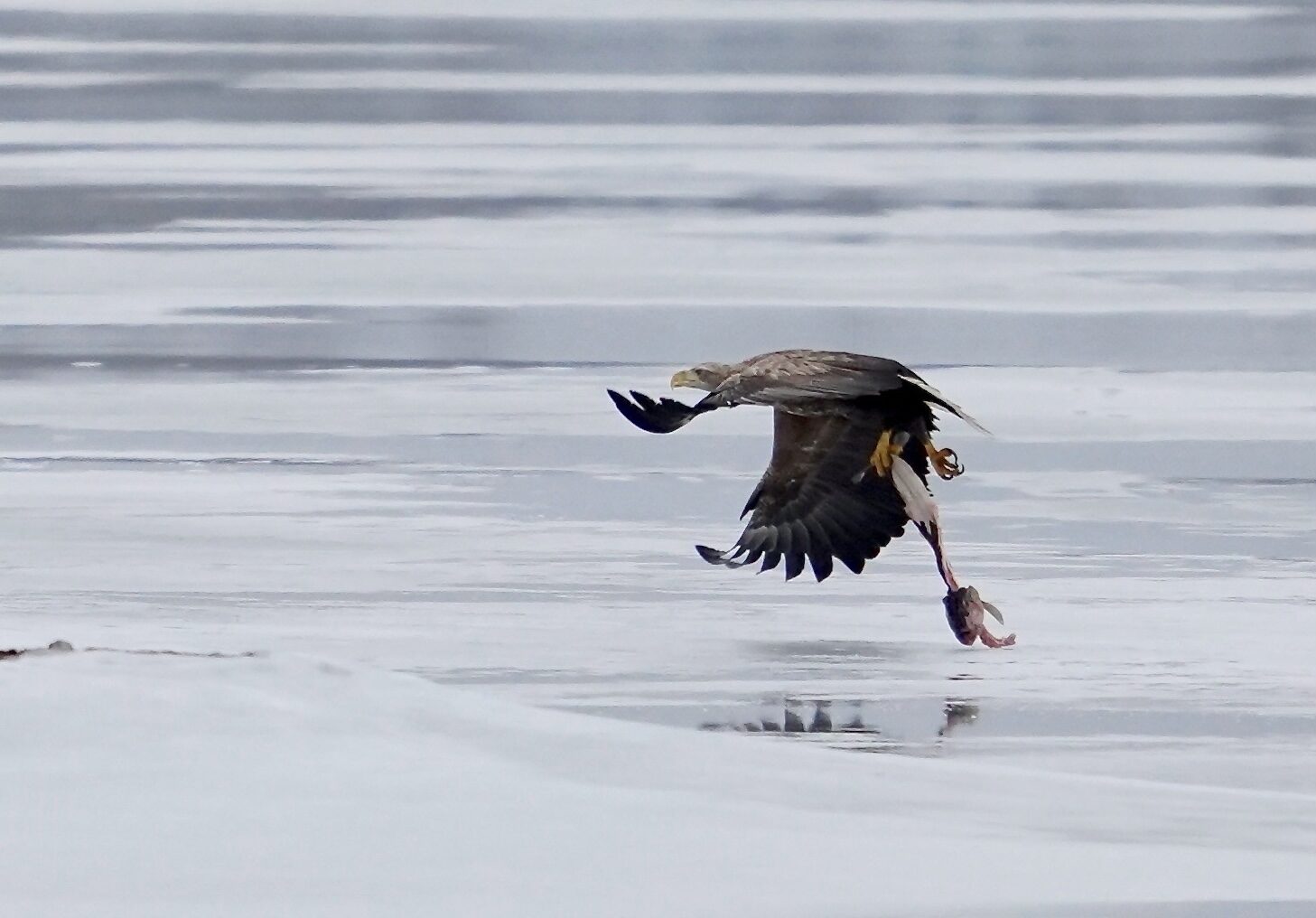 Valokuvaaja: Markku Ranta-Eilola