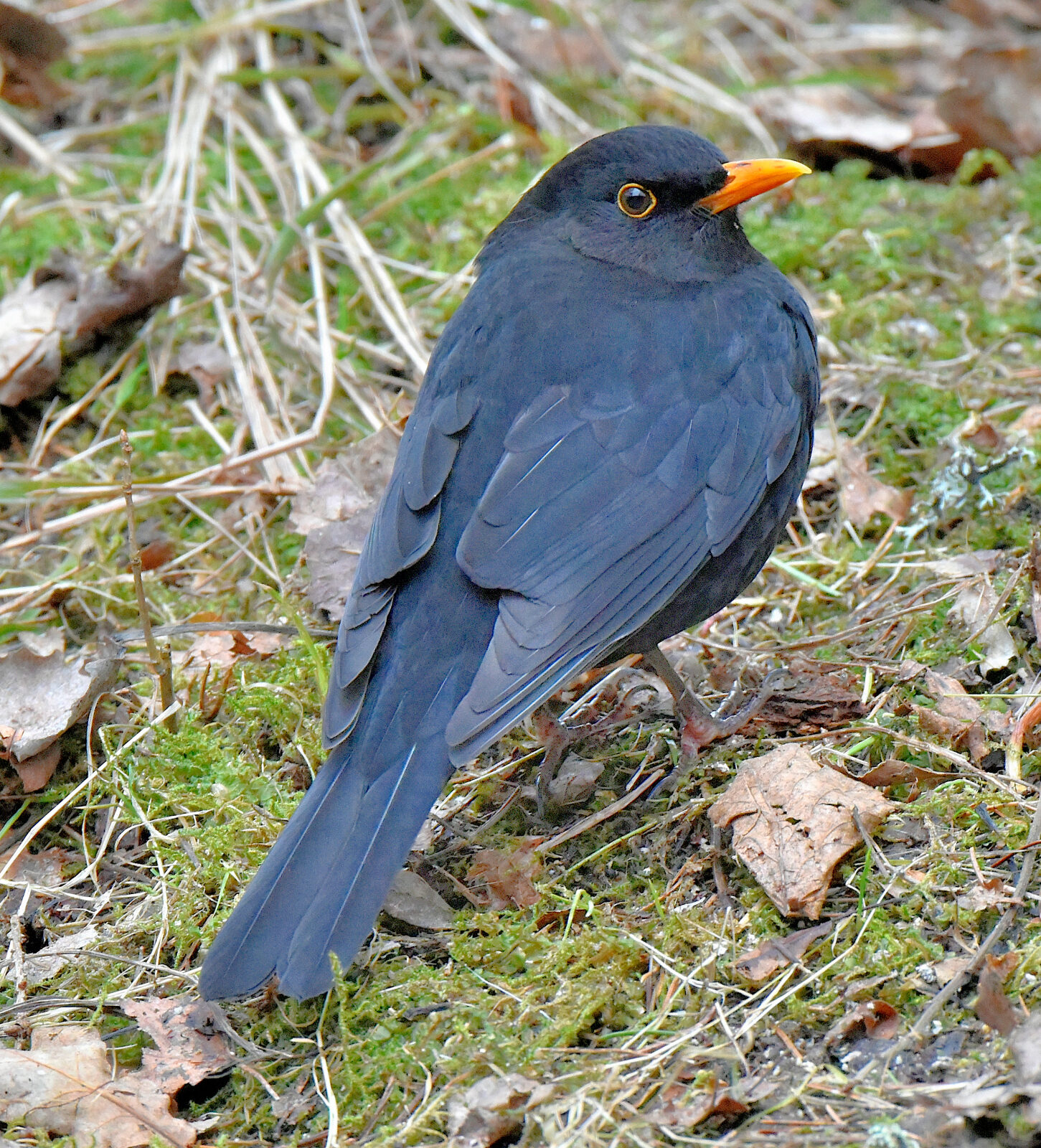 Valokuvaaja: Reijo Juurinen