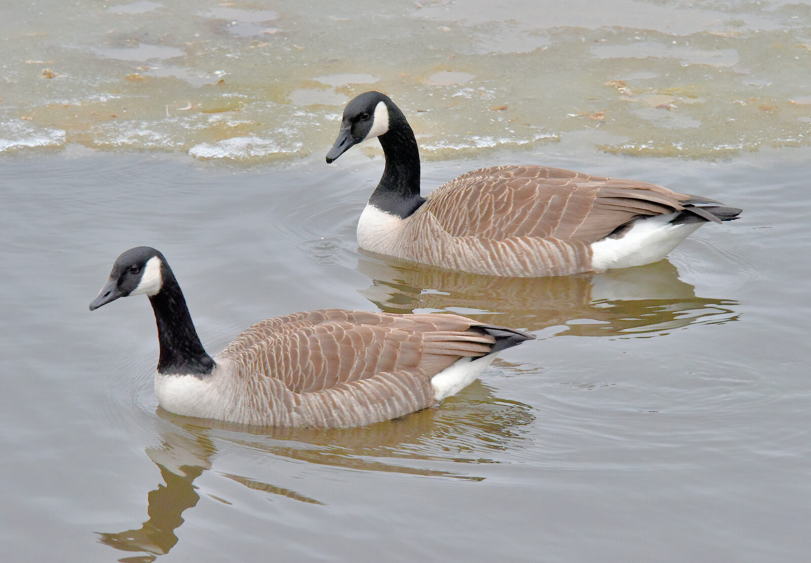 Valokuvaaja: Reijo Juurinen