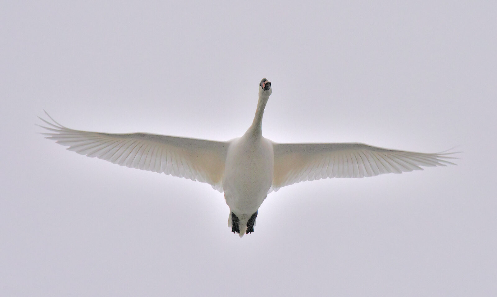 Valokuvaaja: Reijo Juurinen