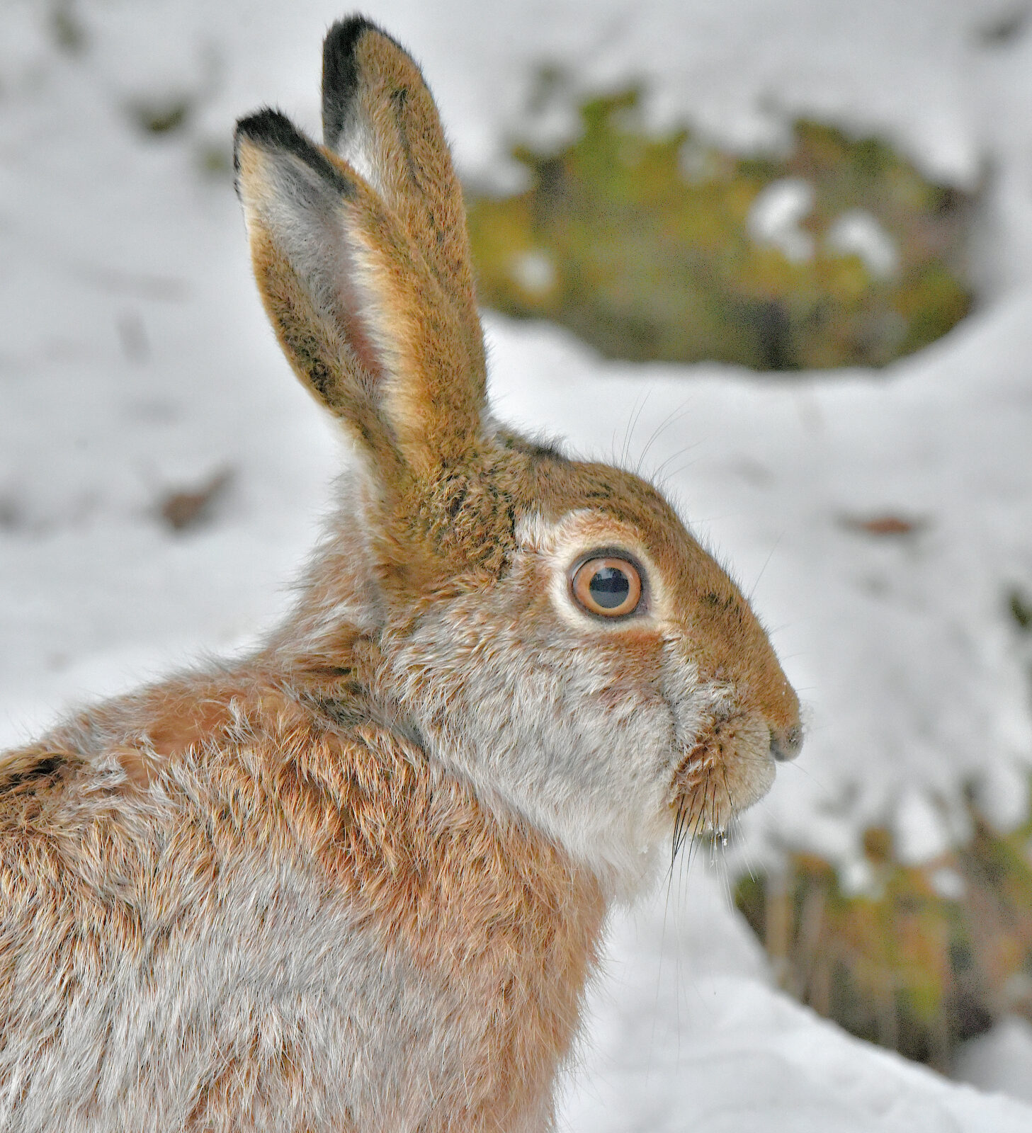 Valokuvaaja: Reijo Juurinen Valokuvaaja: Reijo Juurinen