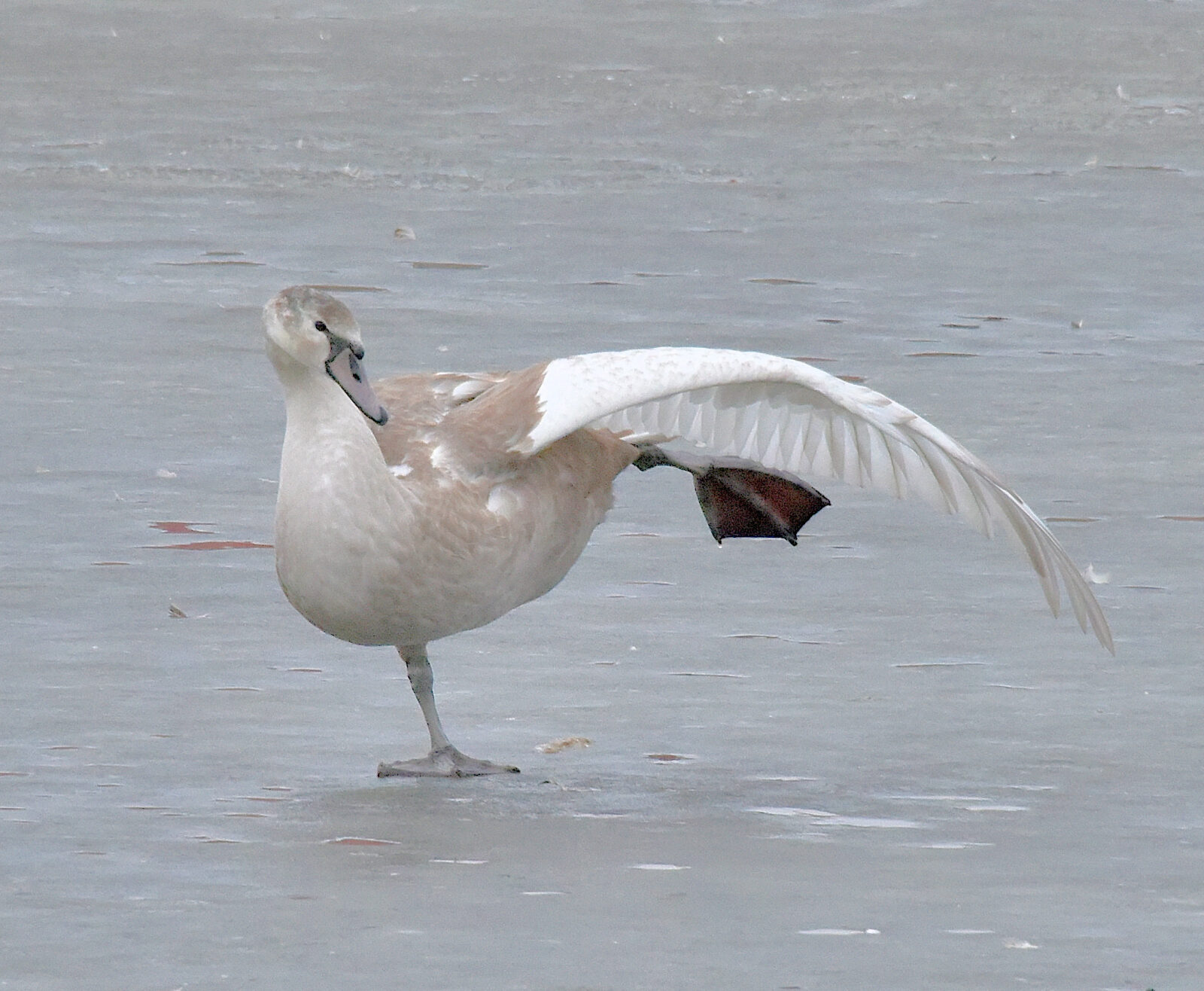 Valokuvaaja: Reijo Juurinen