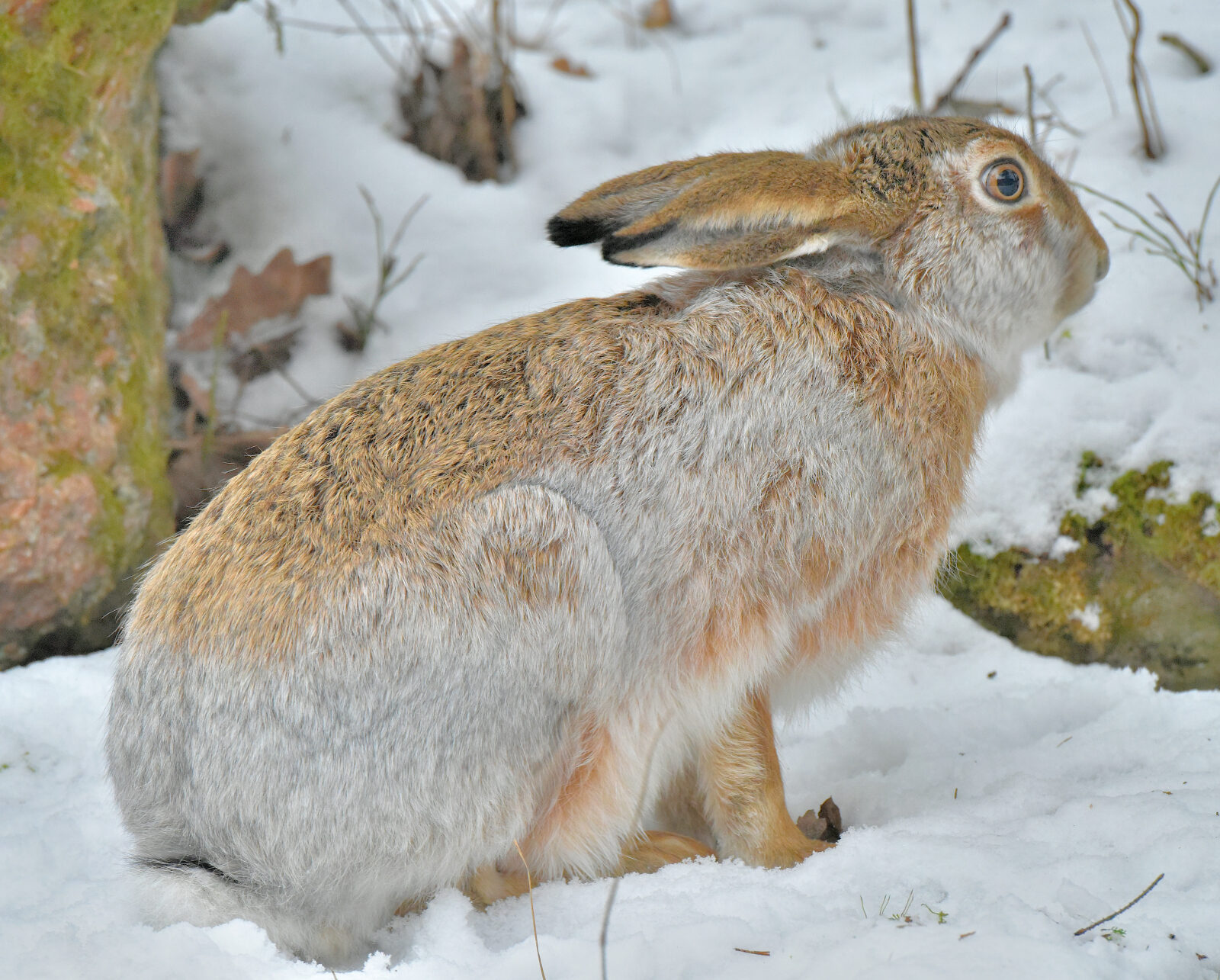Valokuvaaja: Reijo Juurinen Valokuvaaja: Reijo Juurinen