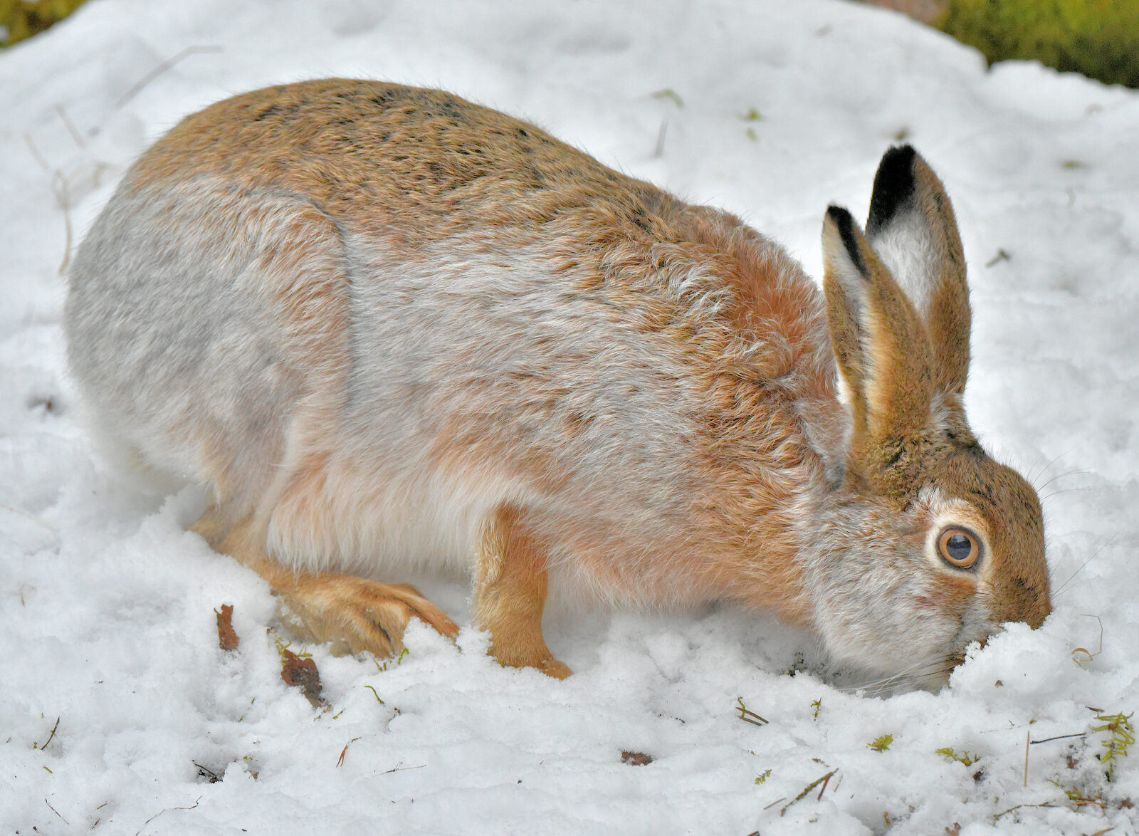 Valokuvaaja: Reijo Juurinen Valokuvaaja: Reijo Juurinen