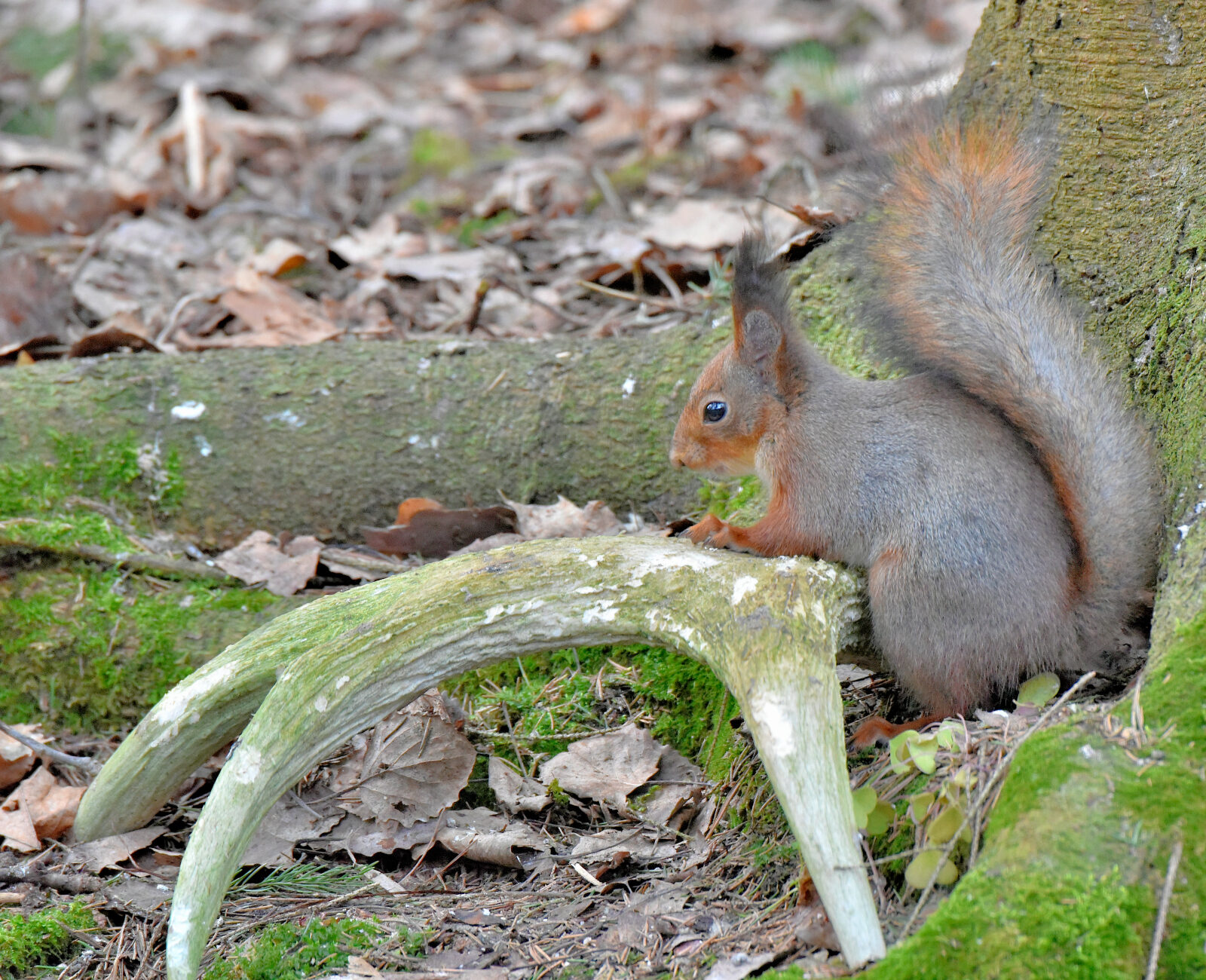 Valokuvaaja: Reijo Juurinen Valokuvaaja: Reijo Juurinen