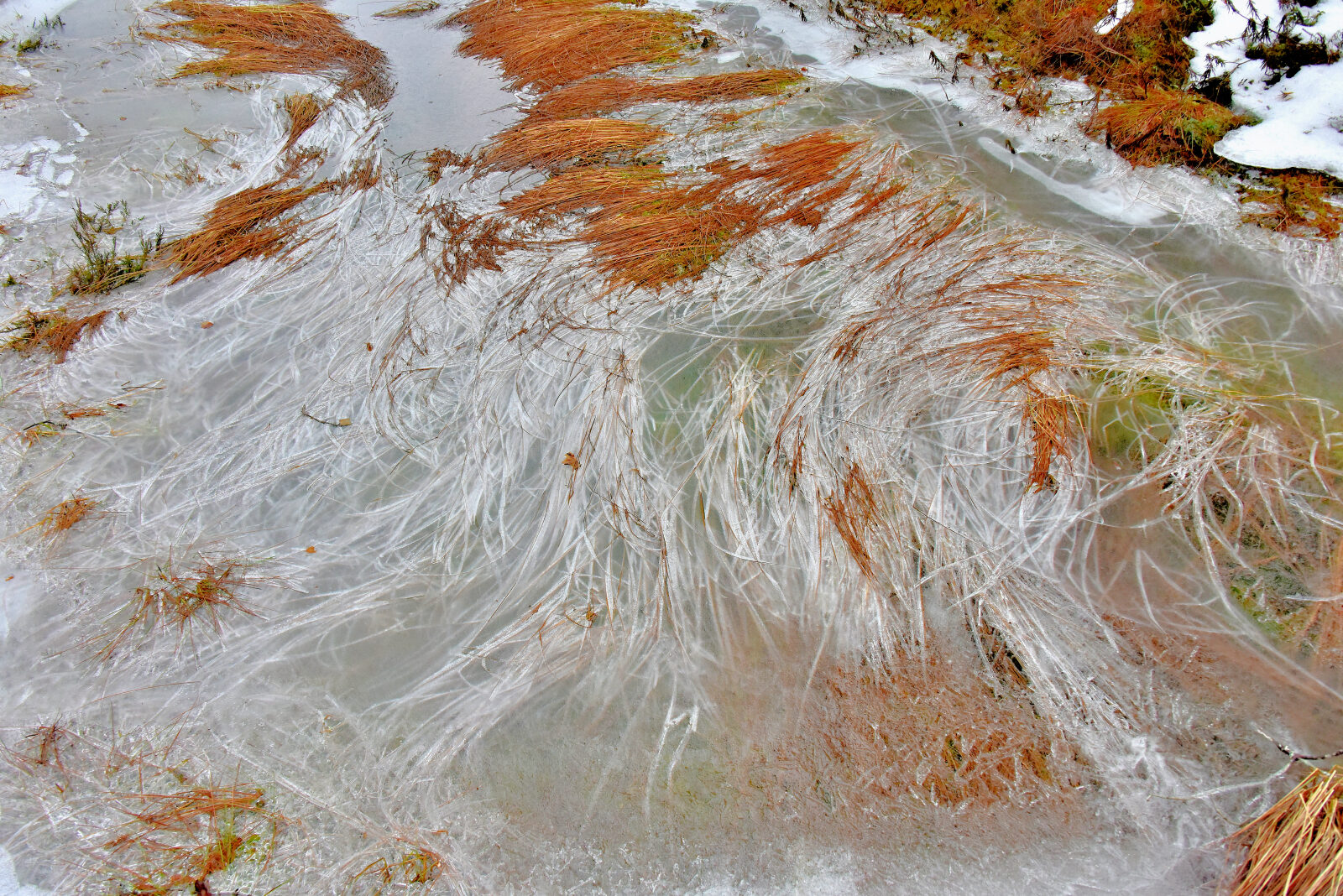 Valokuvaaja: Reijo Juurinen