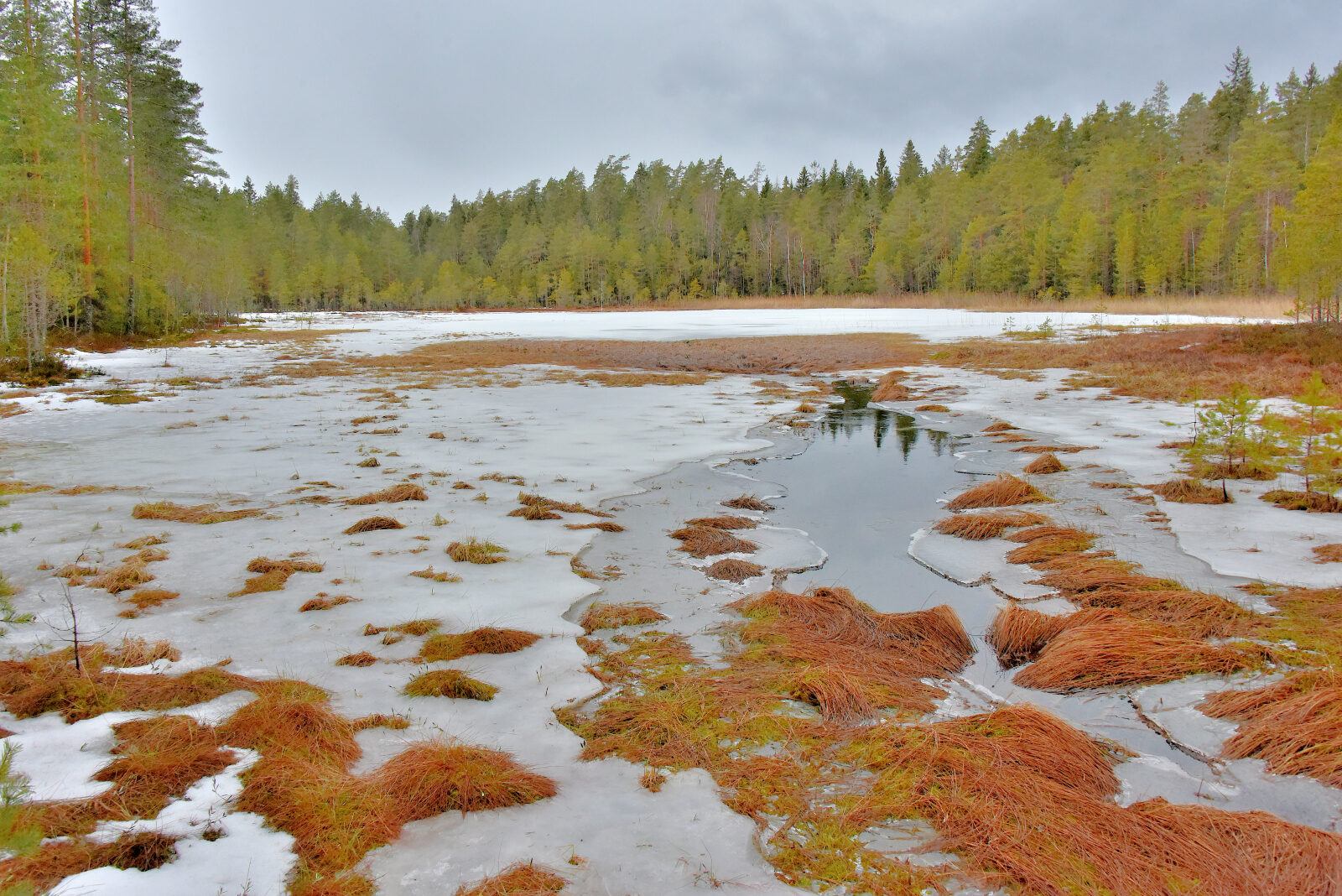 Valokuvaaja: Reijo Juurinen Valokuvaaja: Reijo Juurinen