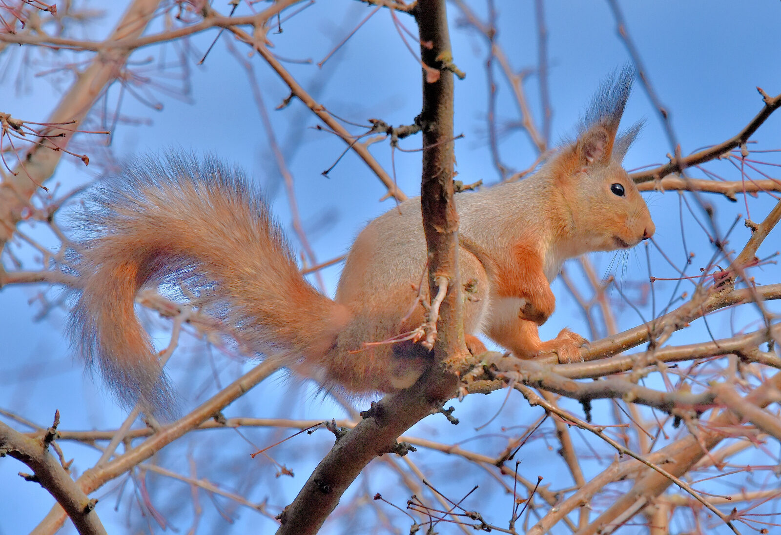 Valokuvaaja: Reijo Juurinen