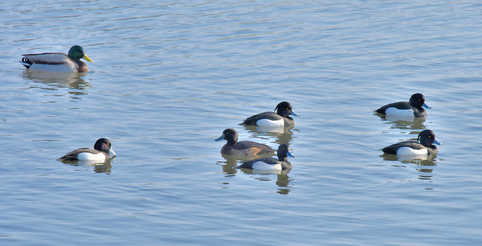 Valokuvaaja: Reijo Juurinen Valokuvaaja: Reijo Juurinen
