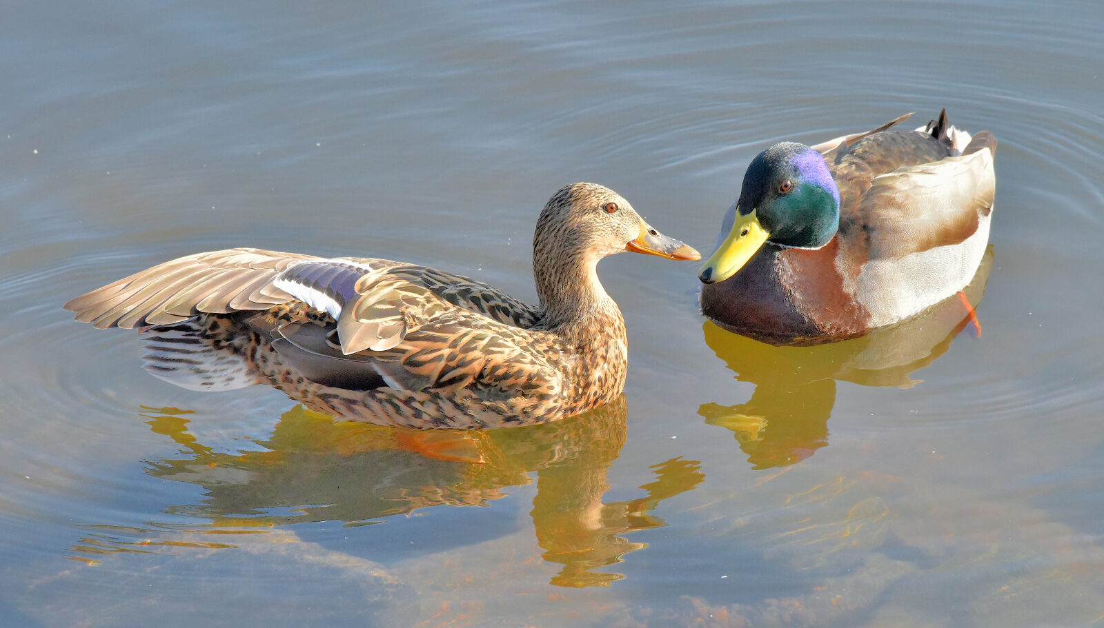 Valokuvaaja: Reijo Juurinen Valokuvaaja: Reijo Juurinen