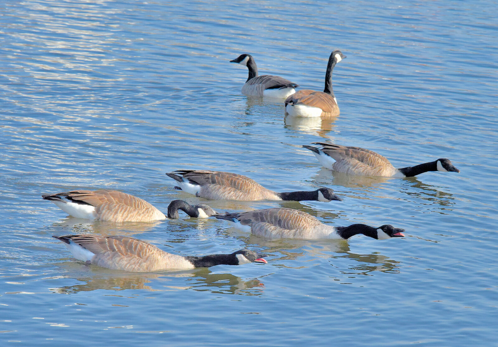 Valokuvaaja: Reijo Juurinen
