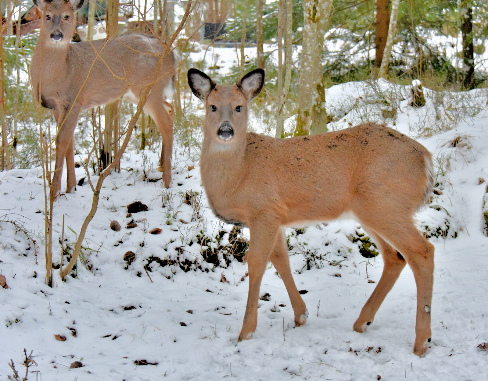 Valokuvaaja: Reijo Juurinen Valokuvaaja: Reijo Juurinen