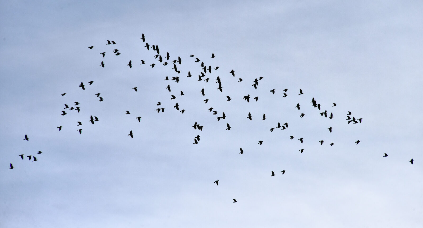 Valokuvaaja: Reijo Juurinen Valokuvaaja: Reijo Juurinen