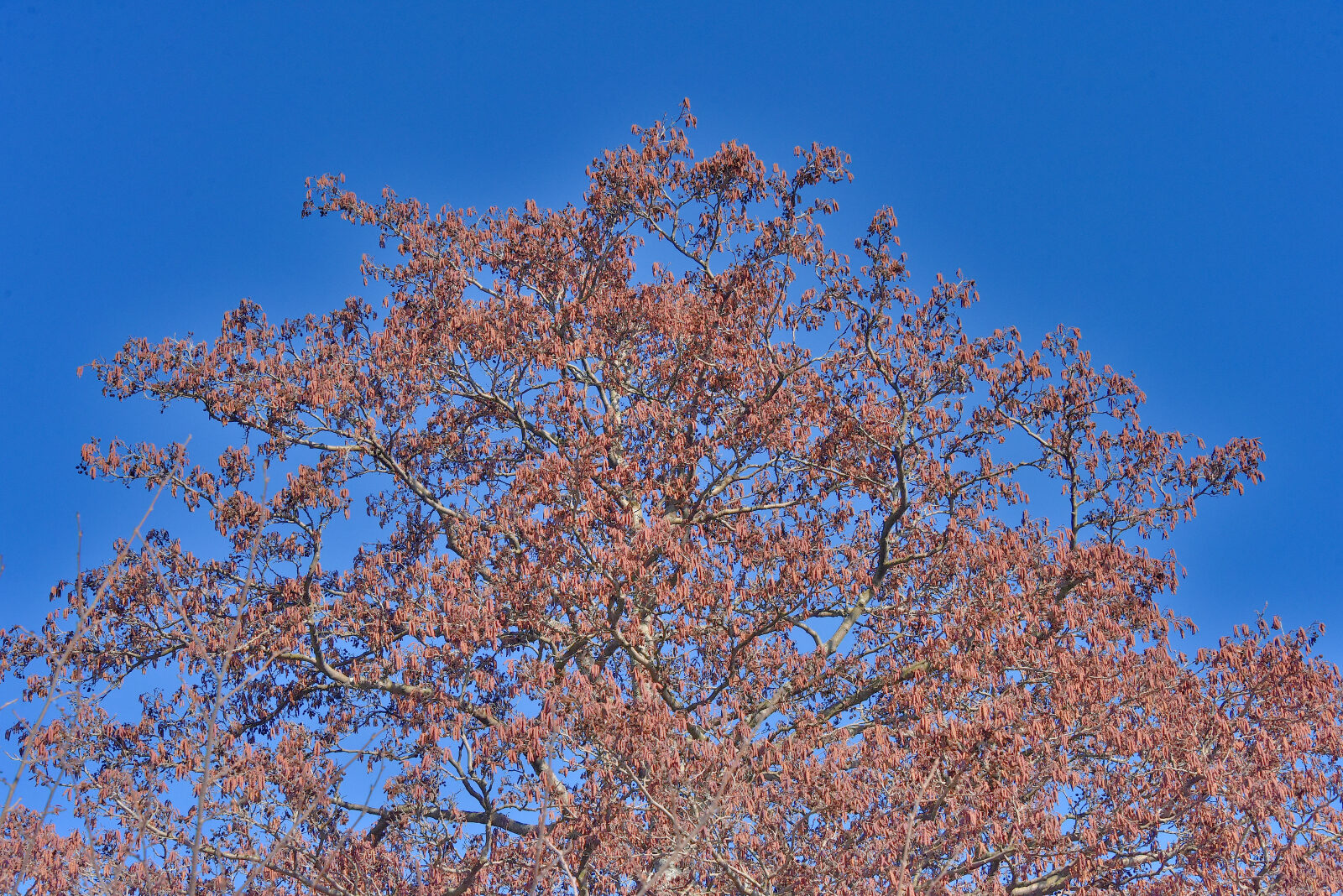 Valokuvaaja: Reijo Juurinen Valokuvaaja: Reijo Juurinen