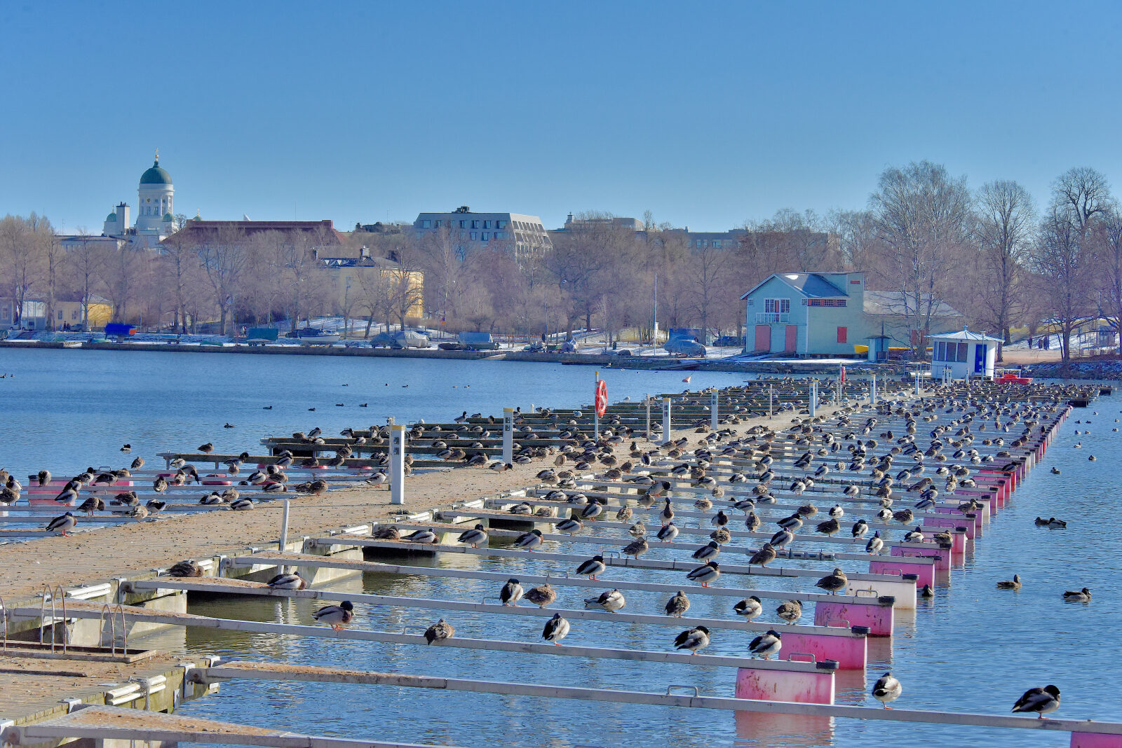 Valokuvaaja: Reijo Juurinen Valokuvaaja: Reijo Juurinen