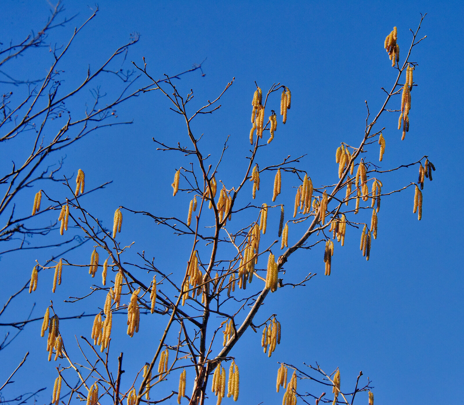 Valokuvaaja: Reijo Juurinen Valokuvaaja: Reijo Juurinen