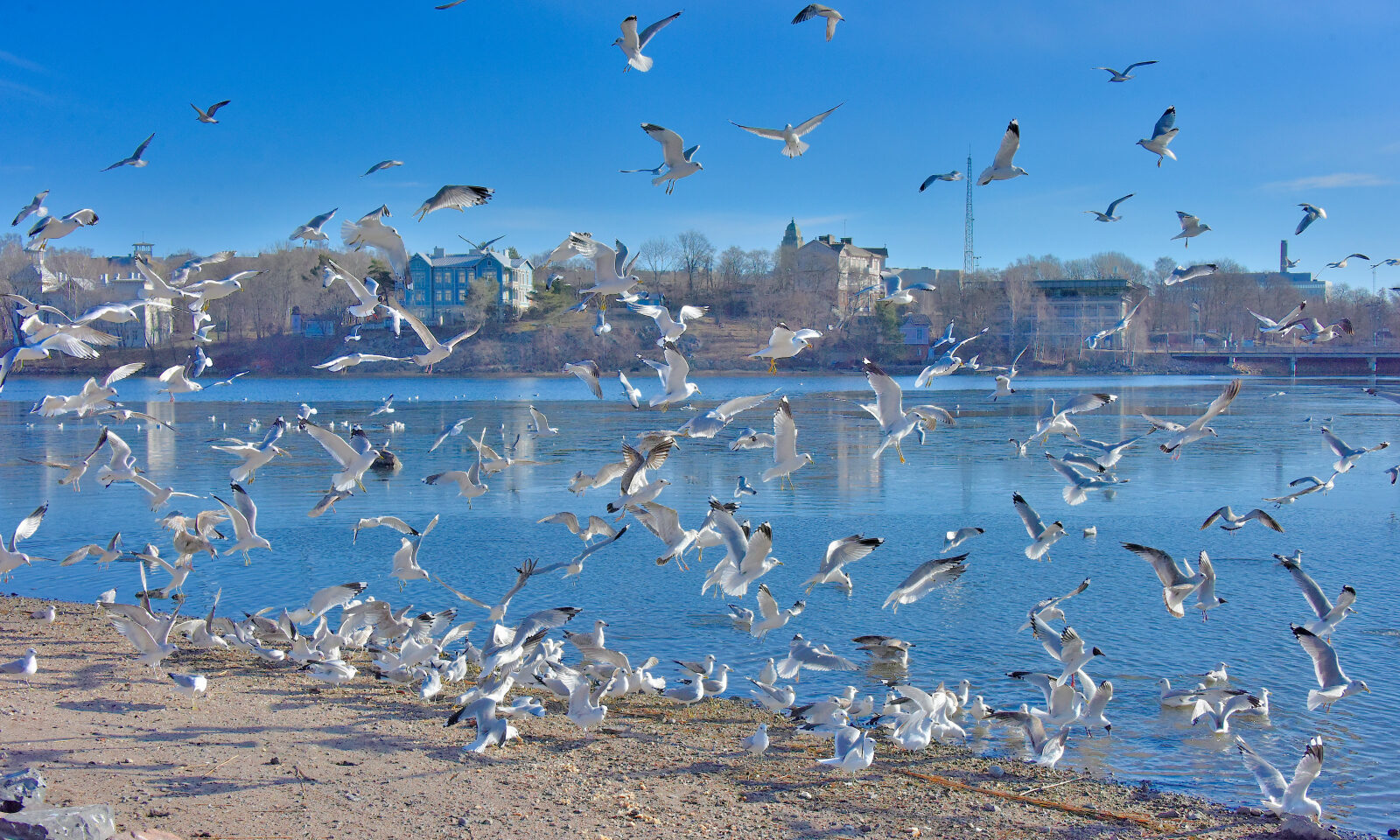 Valokuvaaja: Reijo Juurinen Valokuvaaja: Reijo Juurinen