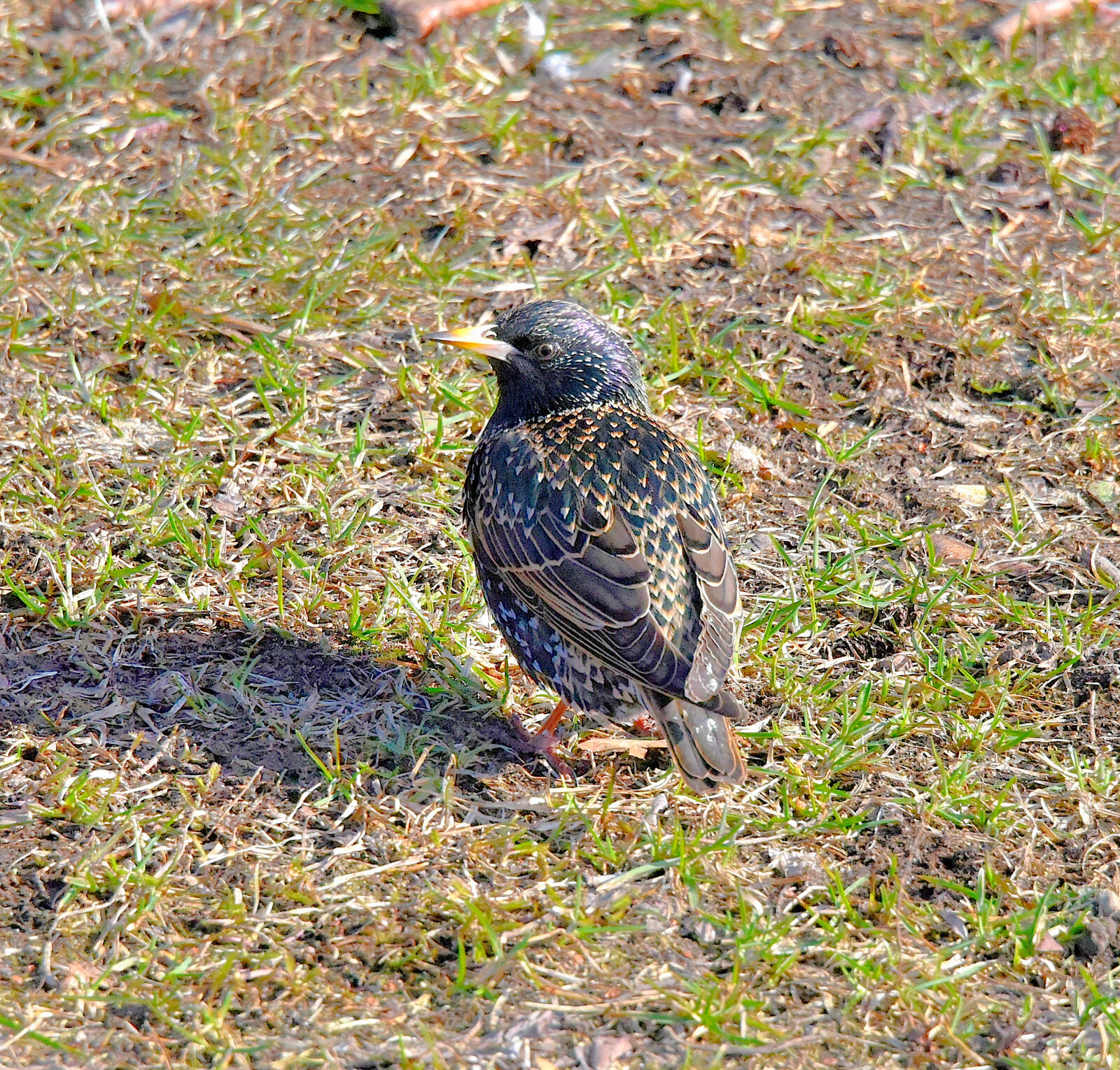 Valokuvaaja: Reijo Juurinen Valokuvaaja: Reijo Juurinen