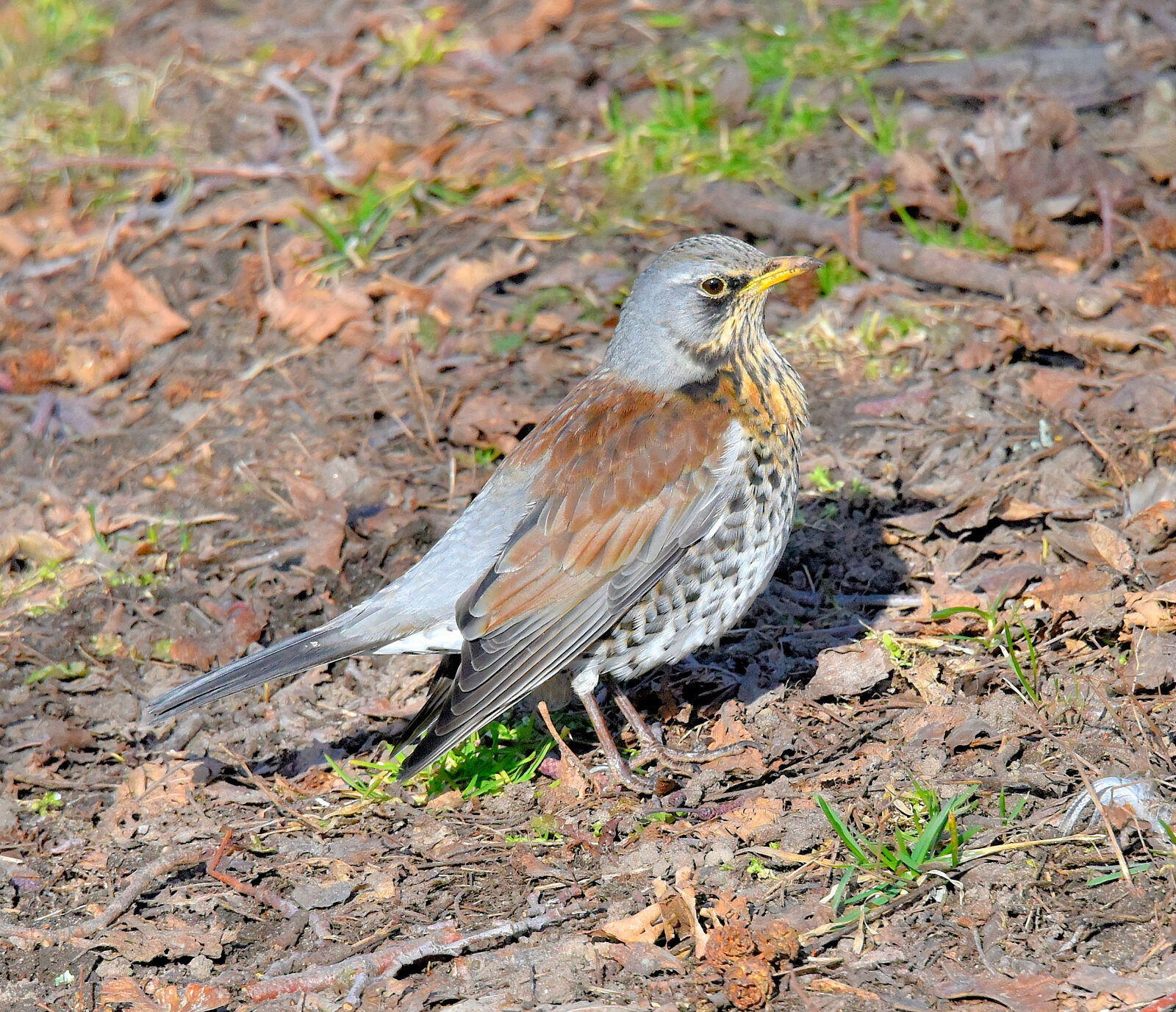 Valokuvaaja: Reijo Juurinen Valokuvaaja: Reijo Juurinen