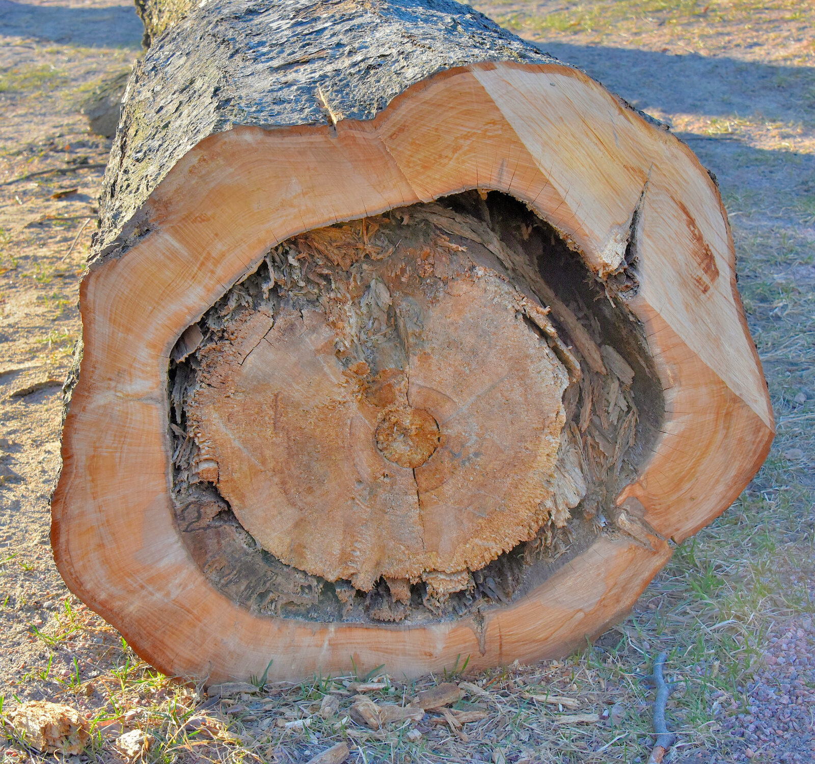 Valokuvaaja: Reijo Juurinen Valokuvaaja: Reijo Juurinen