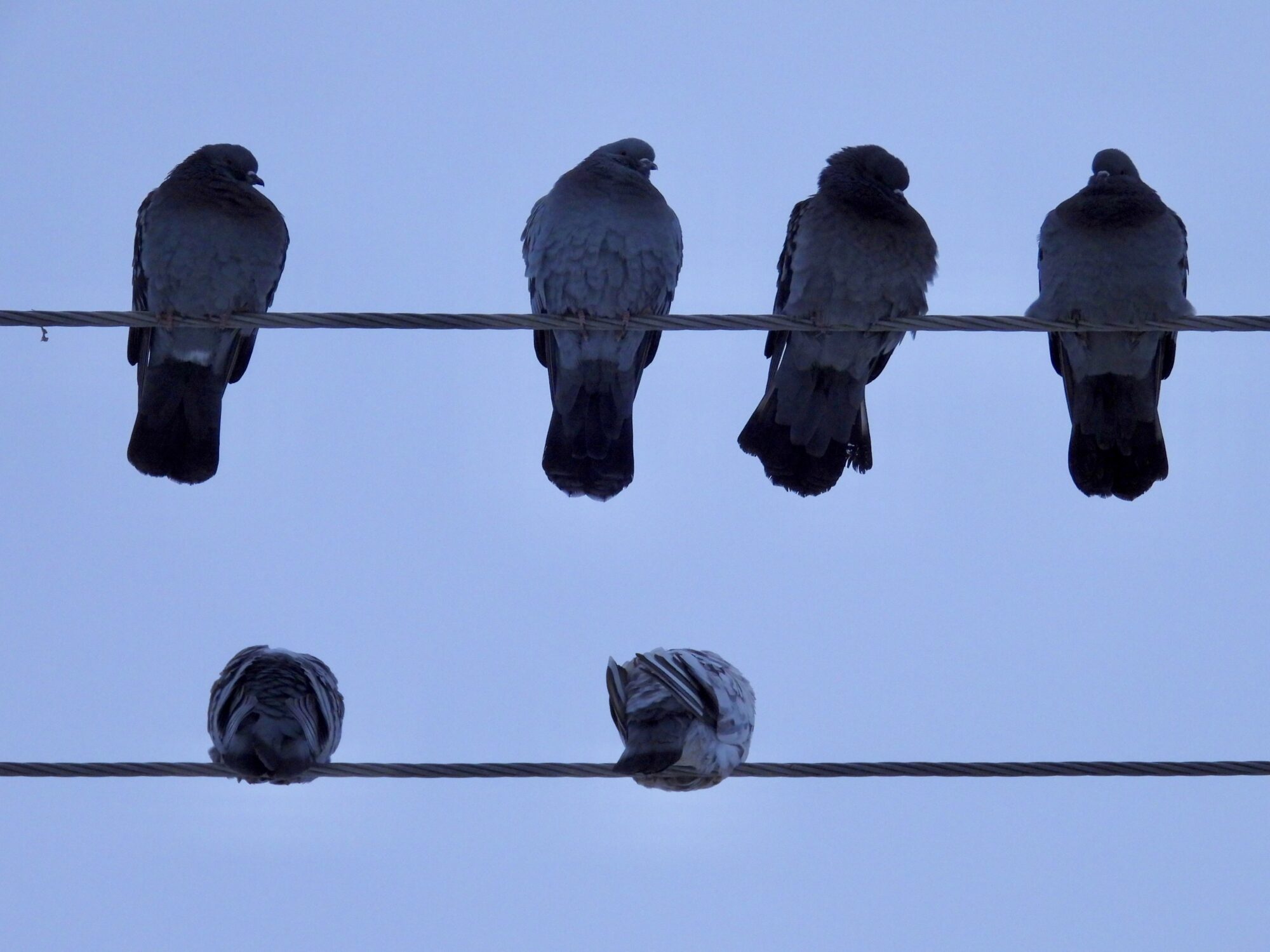 Valokuvaaja: Juhani Peltonen