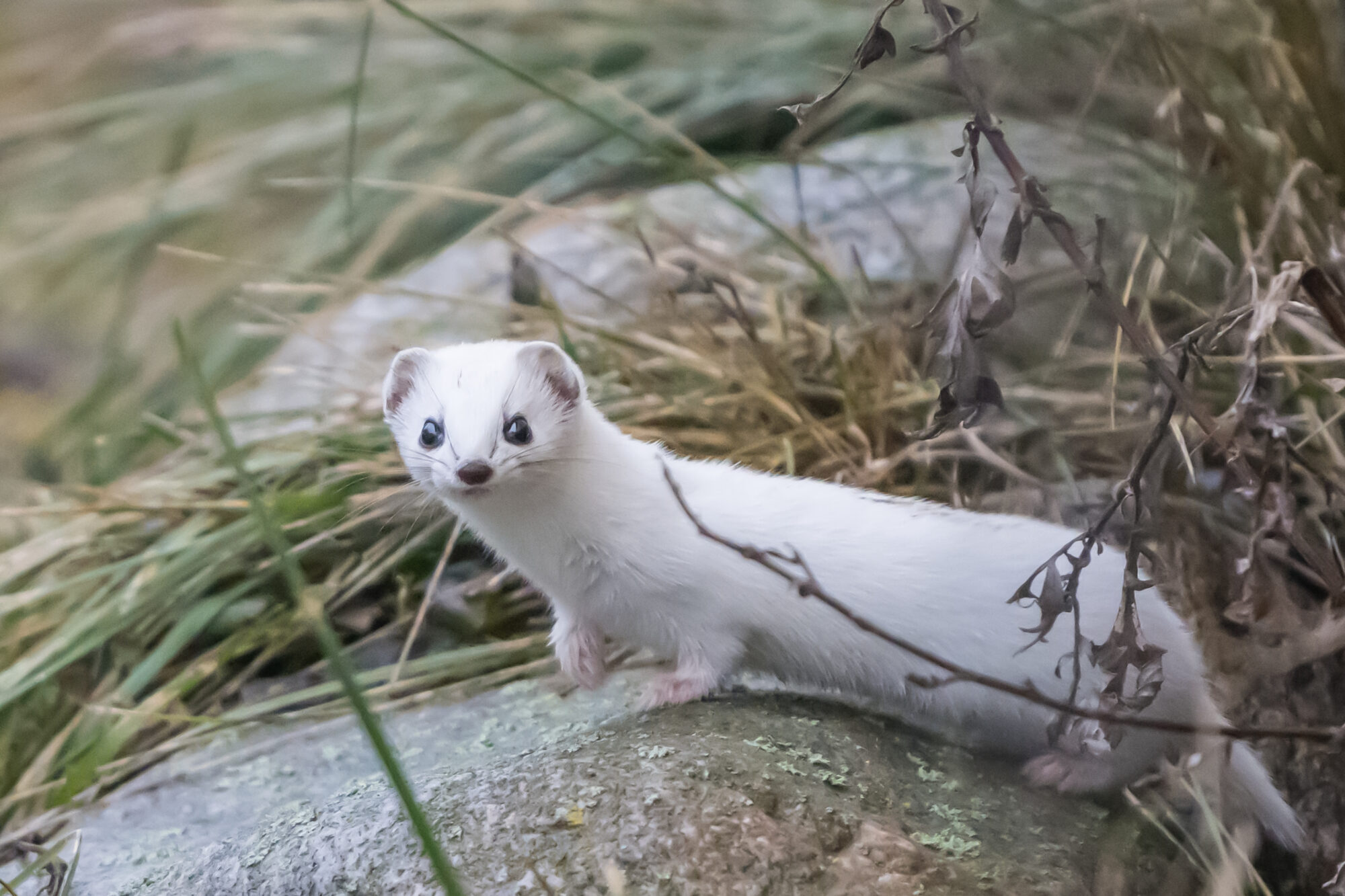 Valokuvaaja: Markku Saarinen