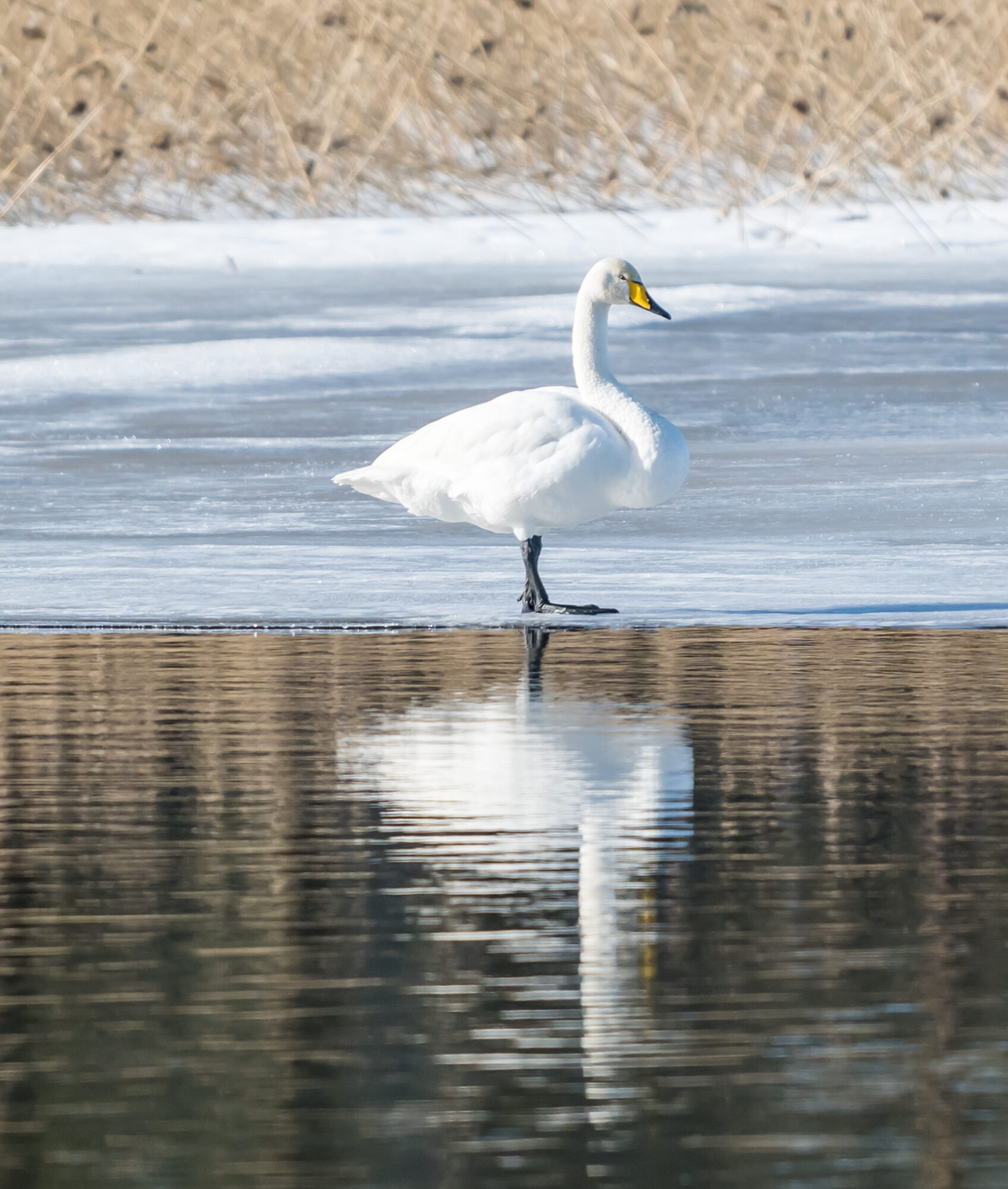 Valokuvaaja: Markku Saarinen