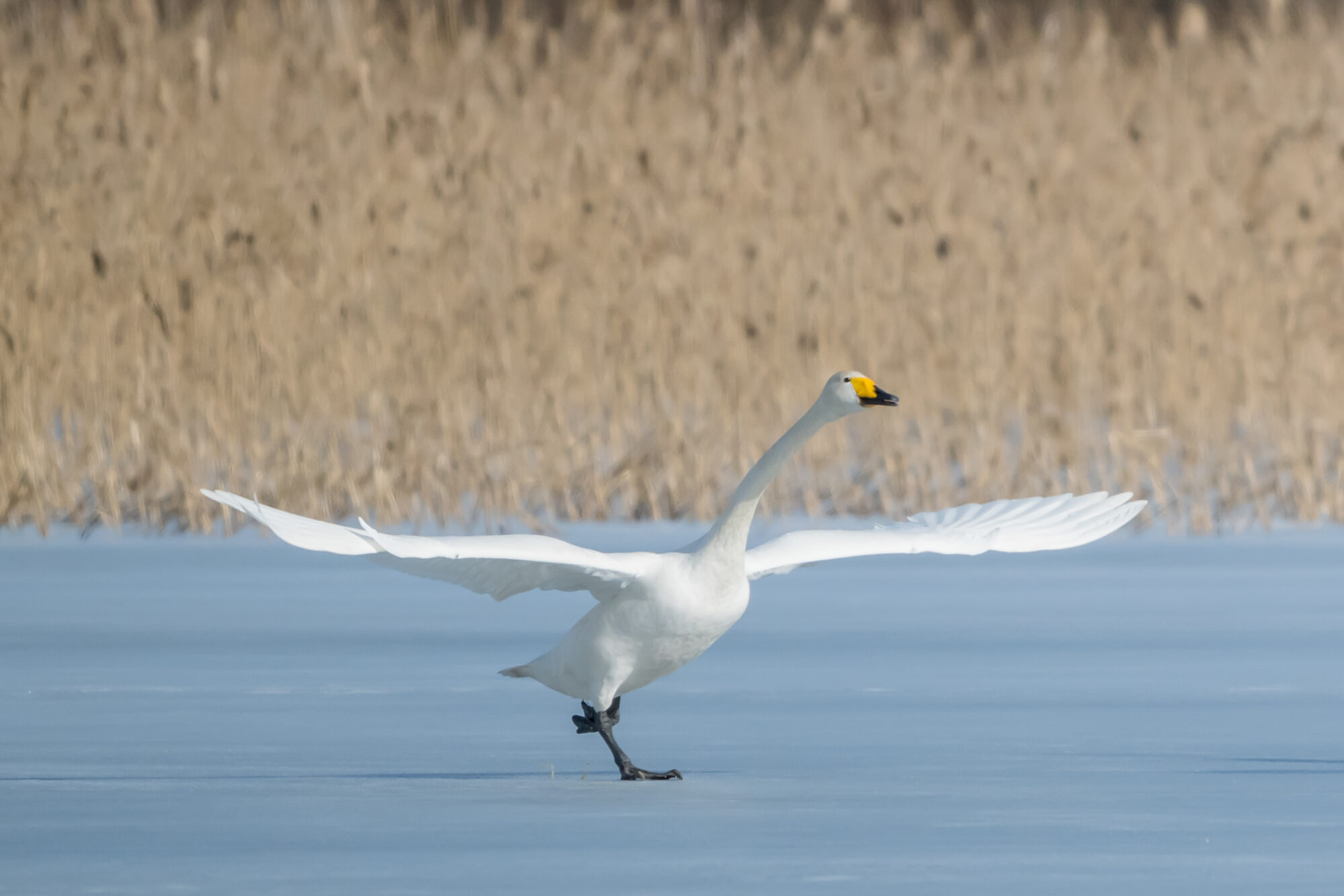 Valokuvaaja: Markku Saarinen
