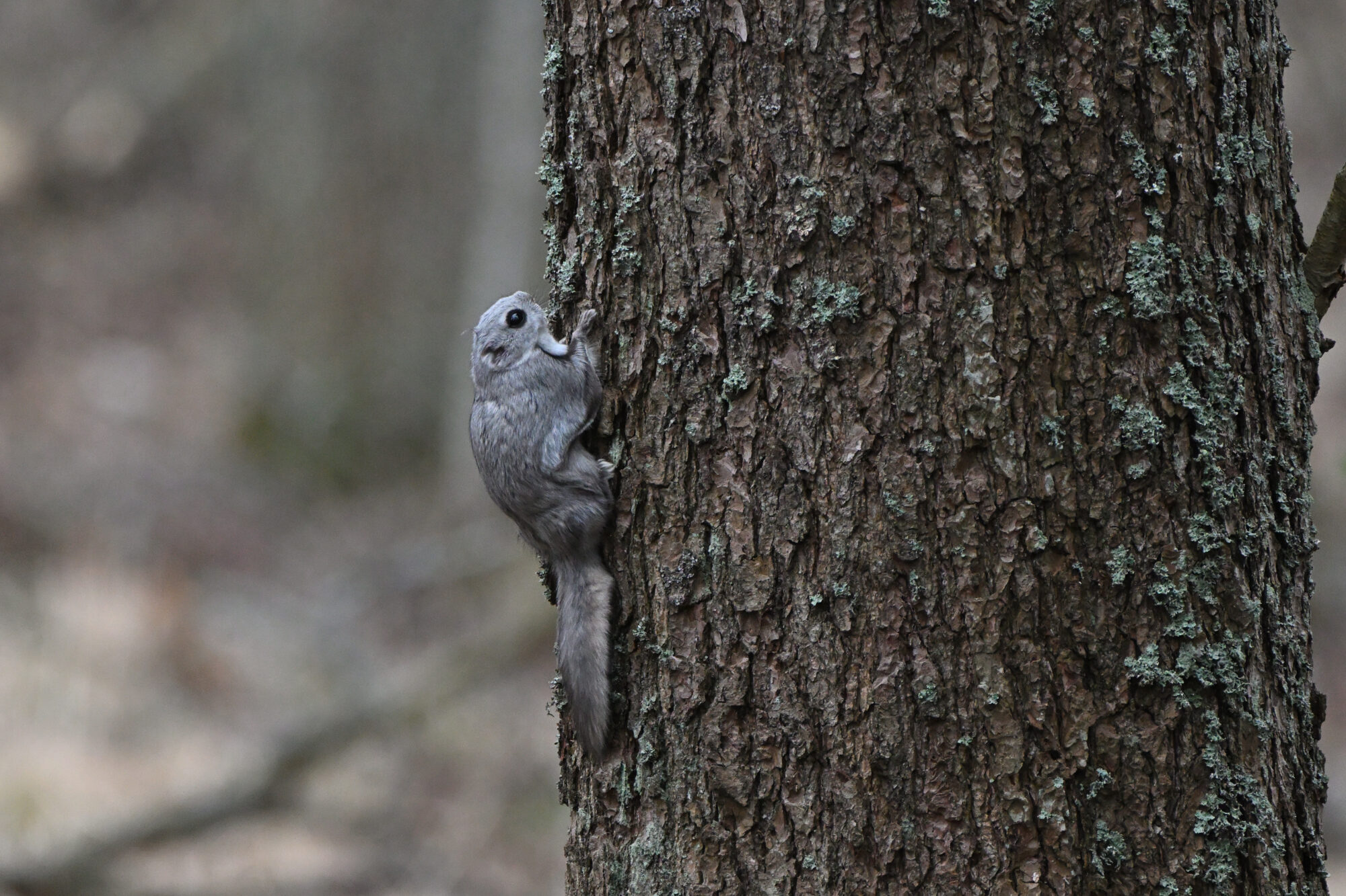 Valokuvaaja: Asko Heikkinen Valokuvaaja: Asko Heikkinen