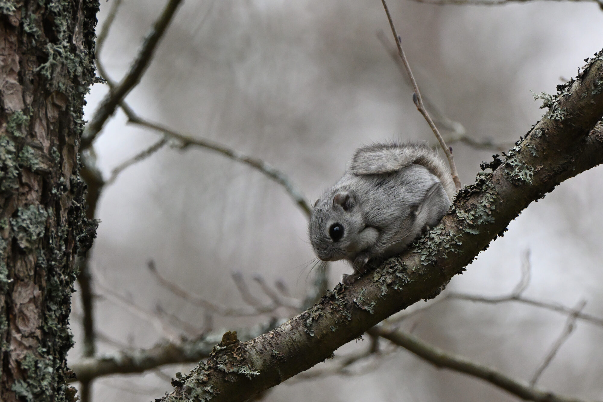 Valokuvaaja: Asko Heikkinen Valokuvaaja: Asko Heikkinen